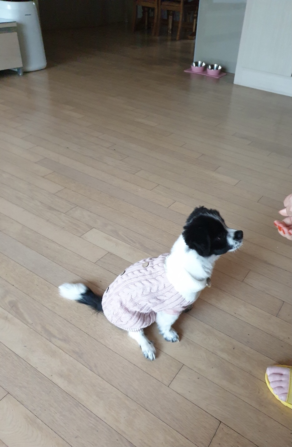 하루를 만난지 D+34