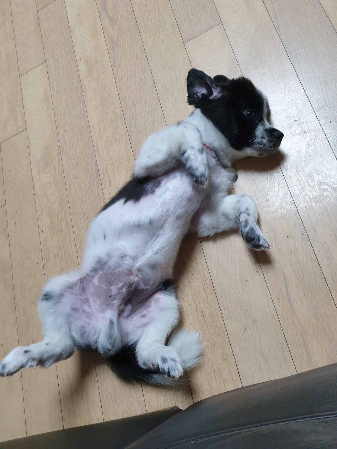 하루를 만난지 D+34