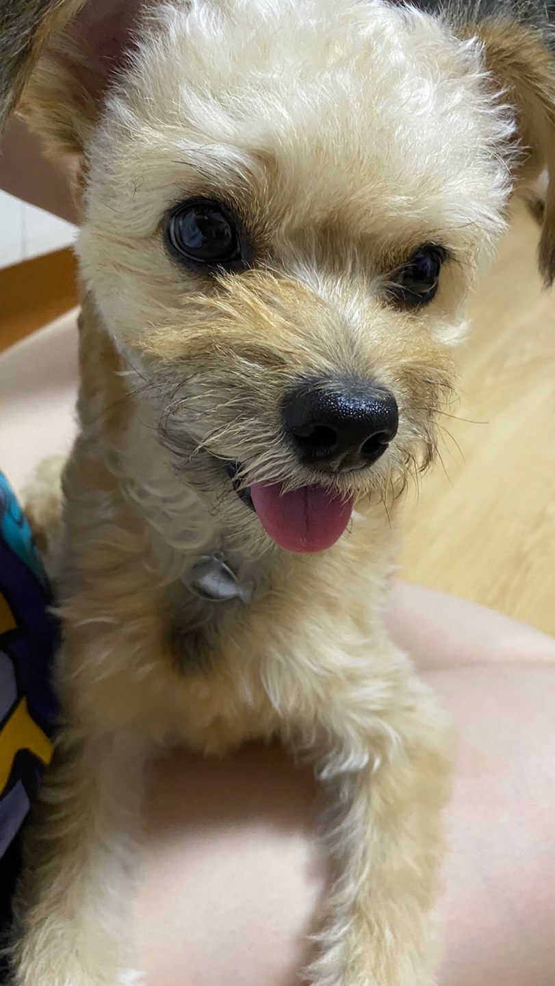 날라(푸푸아가 뽀삼이) 소식 전해드려요!ㅎㅎ