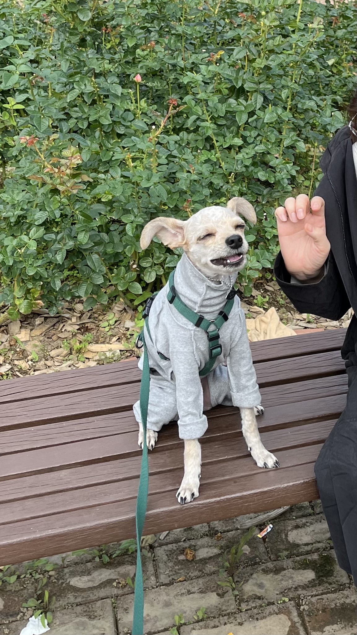 날라(푸푸아가 뽀삼이) 소식 전해드려요!ㅎㅎ