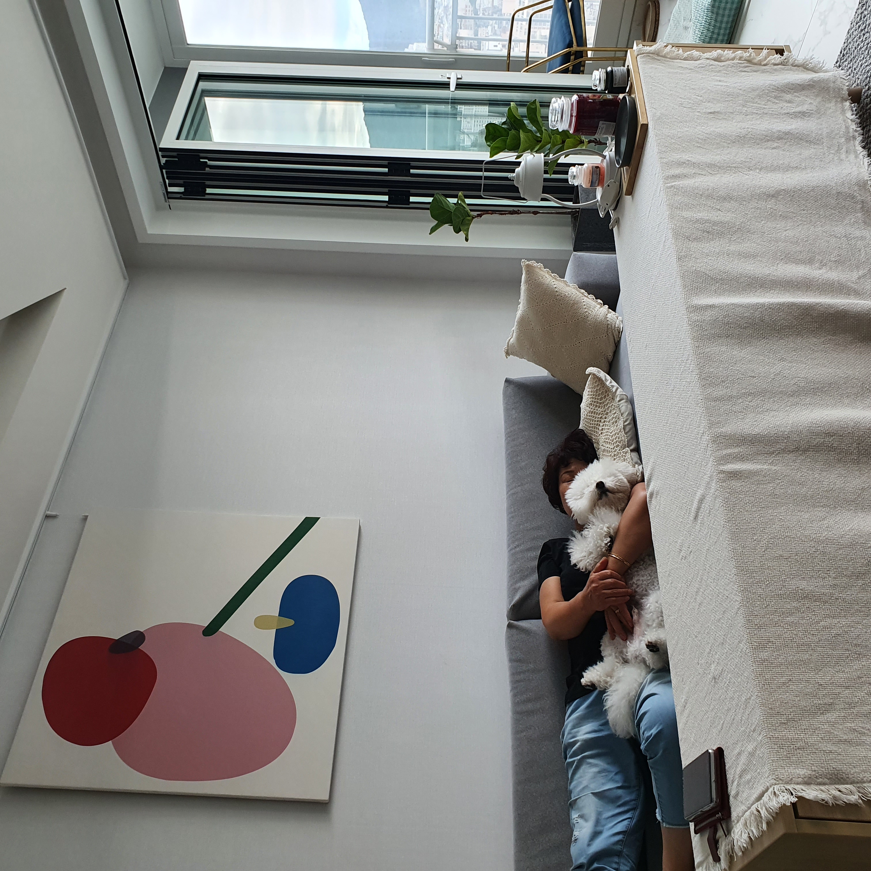 말랑이와 함께 한지 2년이 다 되어가요.