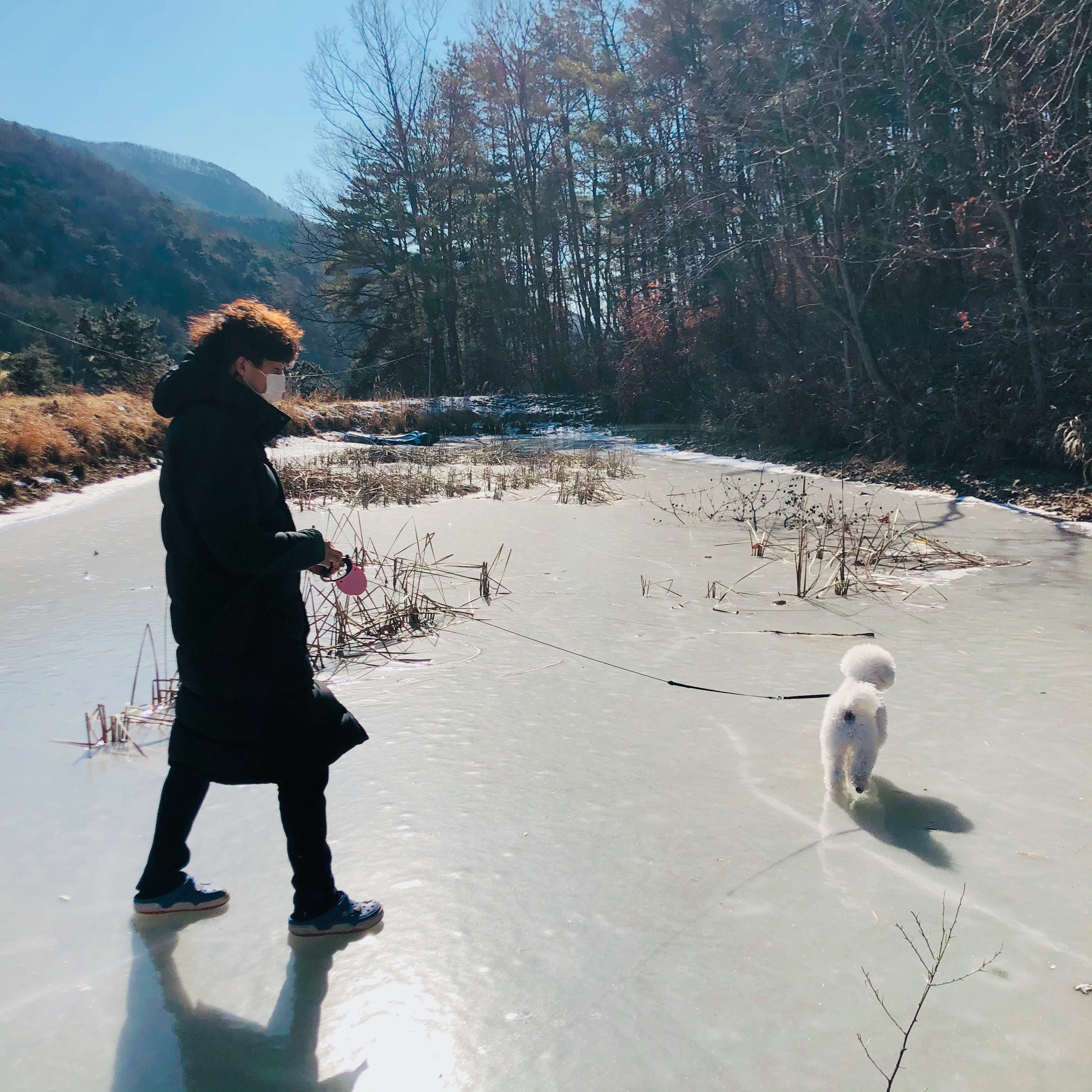 말랑이와 함께 한지 2년이 다 되어가요.