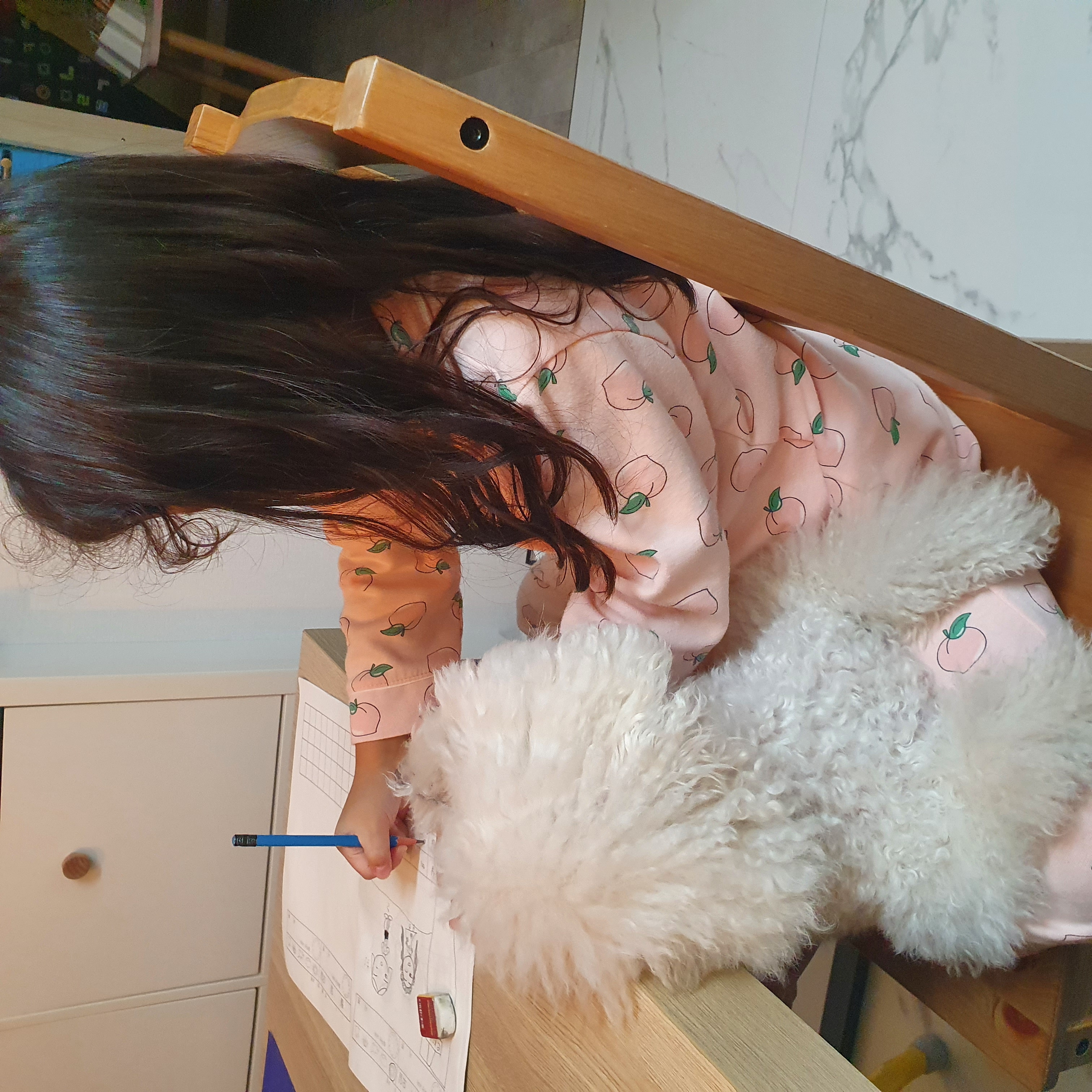 말랑이와 함께 한지 2년이 다 되어가요.