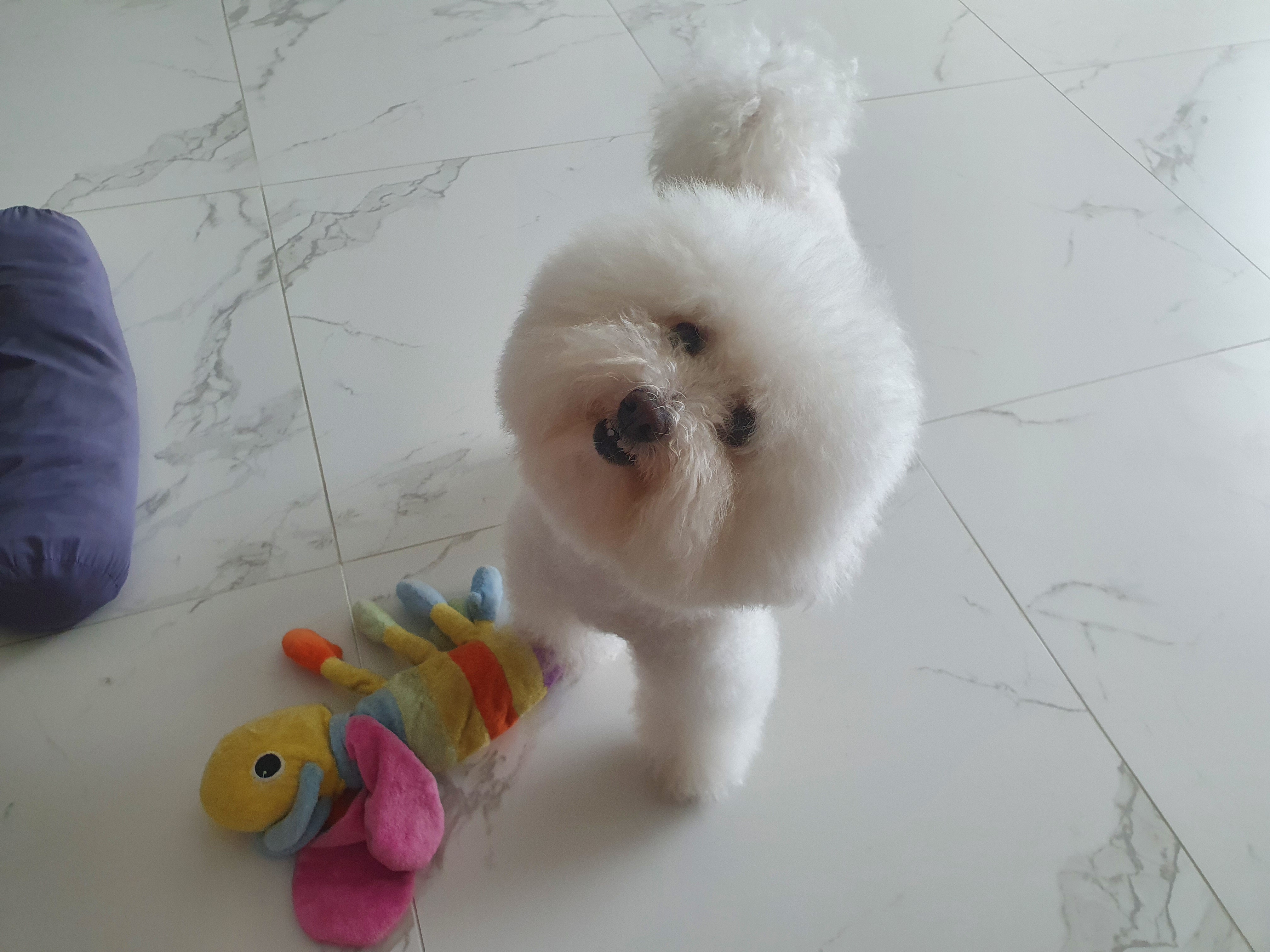 말랑이와 함께 한지 2년이 다 되어가요.