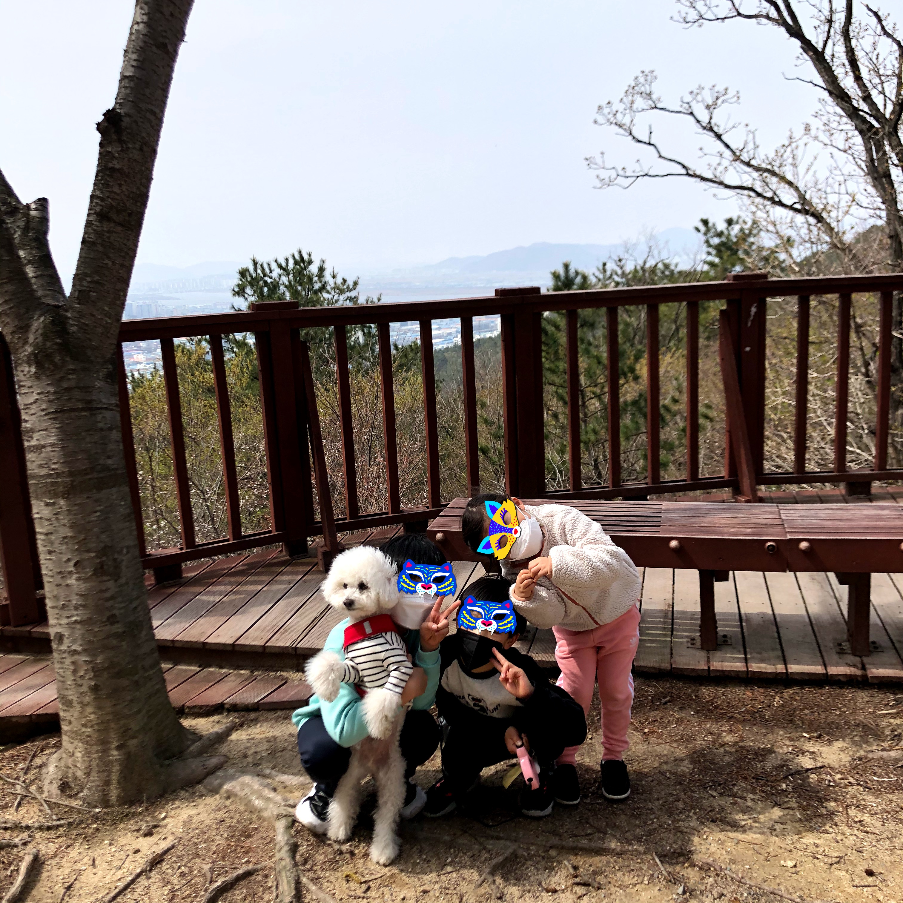 말랑이와 함께 한지 2년이 다 되어가요.