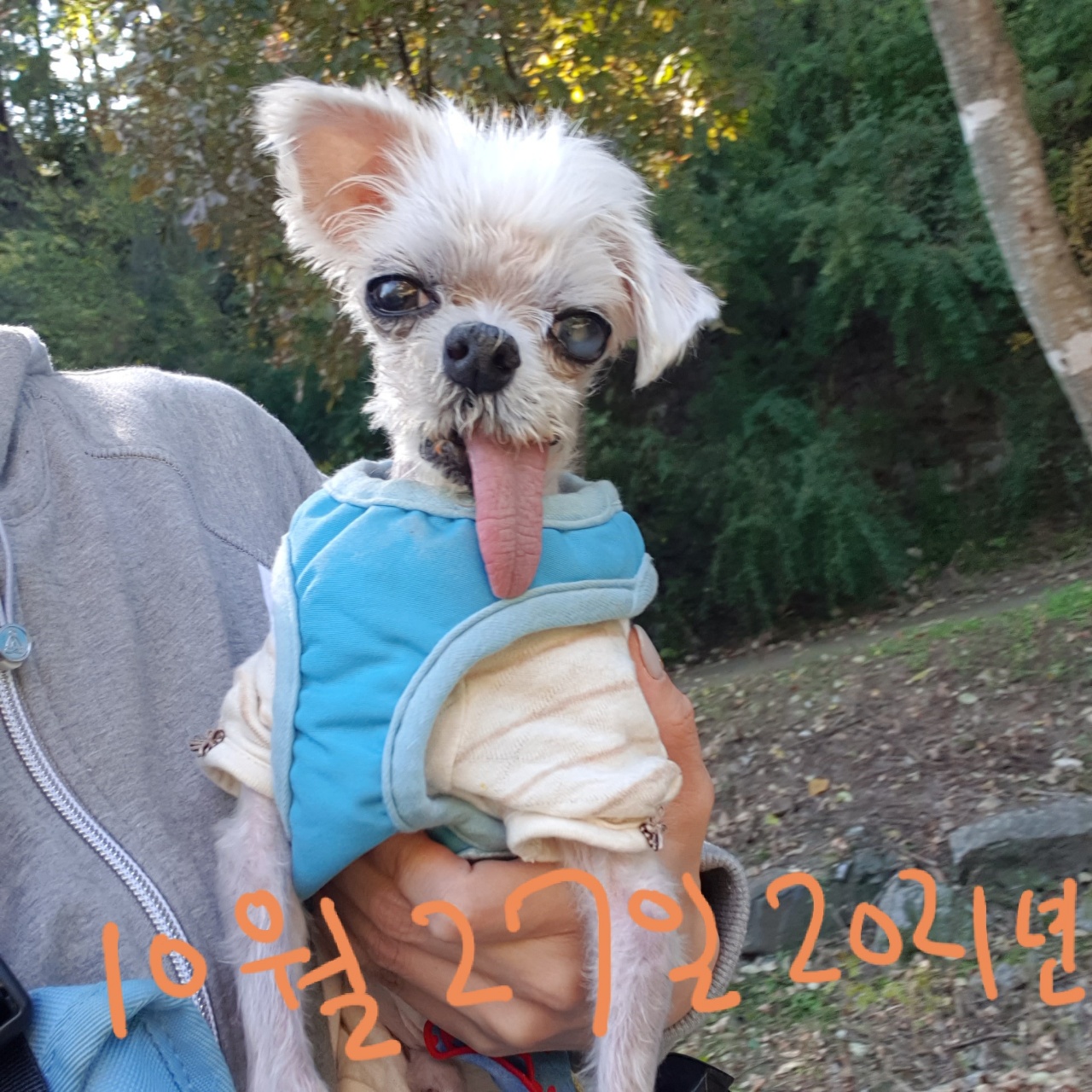 귀여운 꽃순이 금동이 