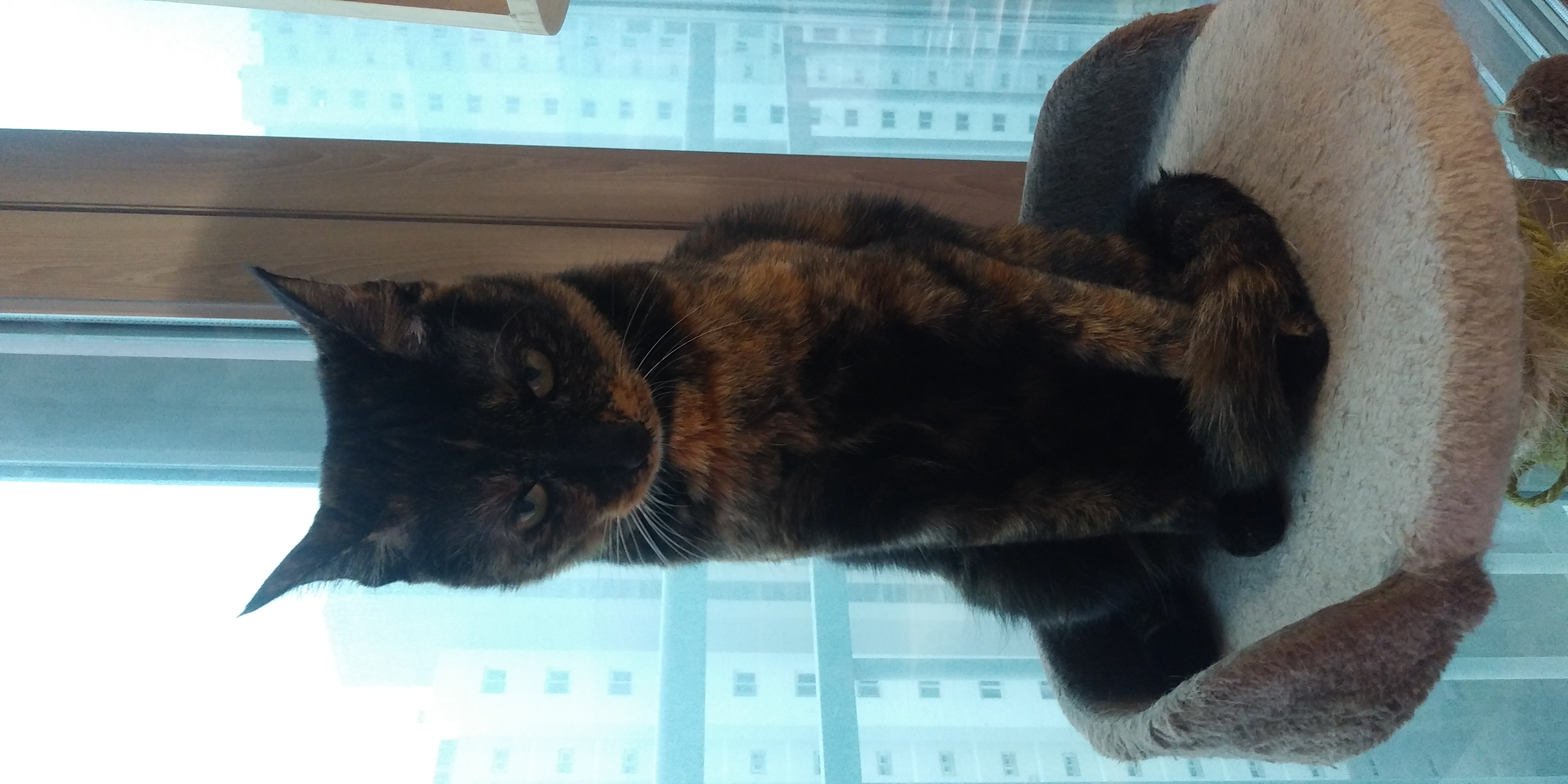 까꿍이의 일년이야기