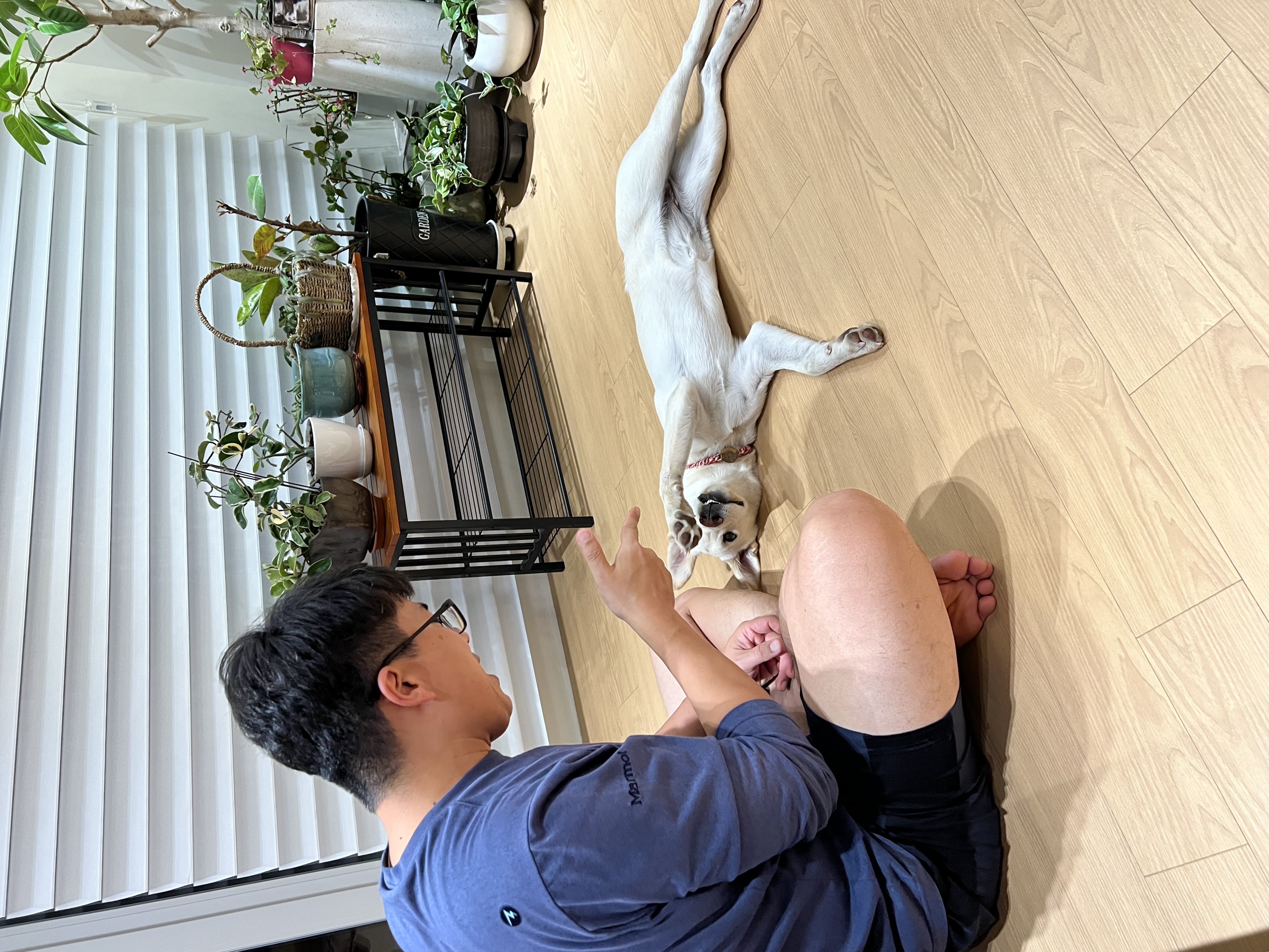 보리(시작이) 입양 3개월 됐어요