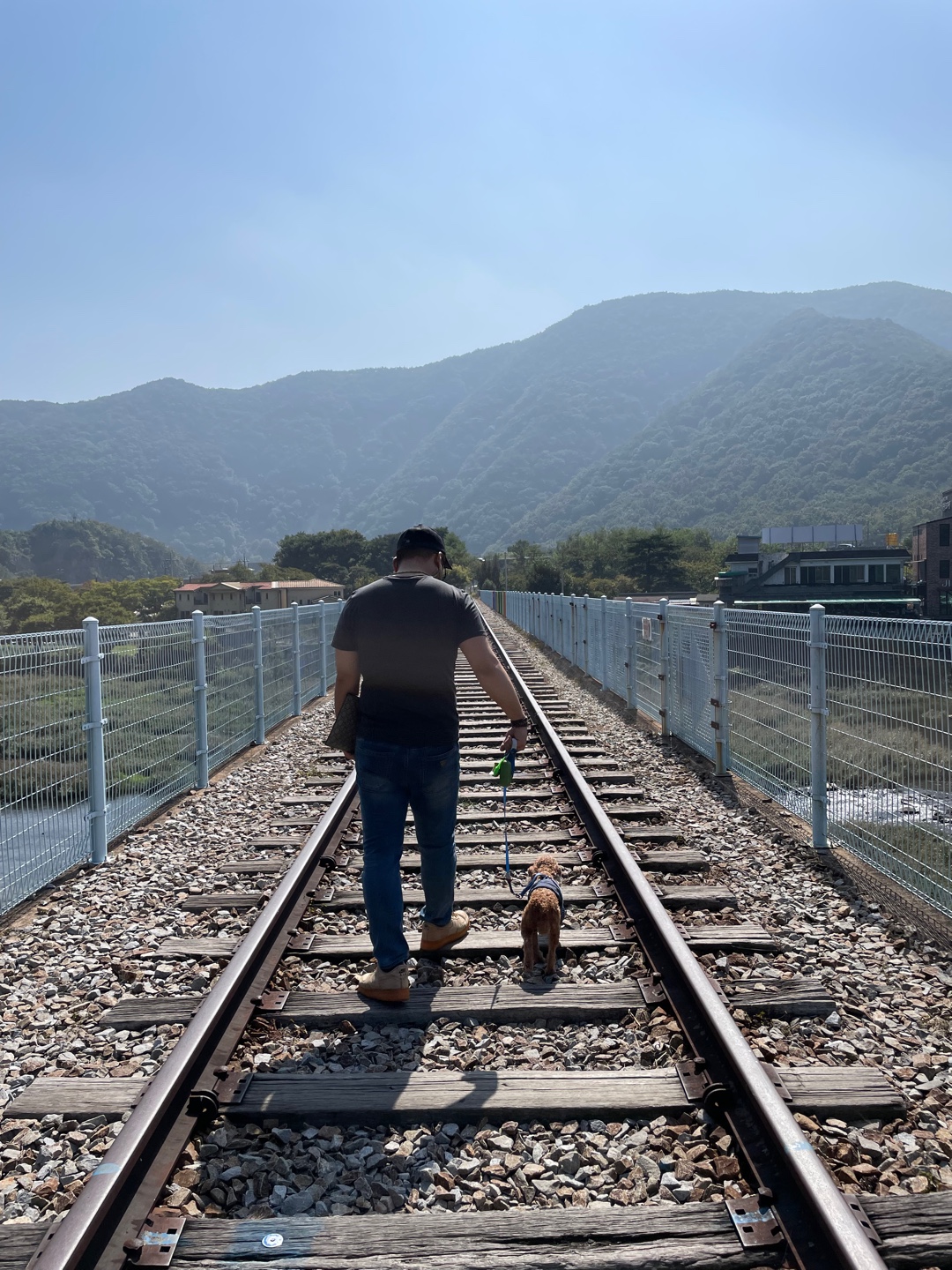 곤지암 구조견_ 헤이즐 입양후 6개월 근황입니다 :)