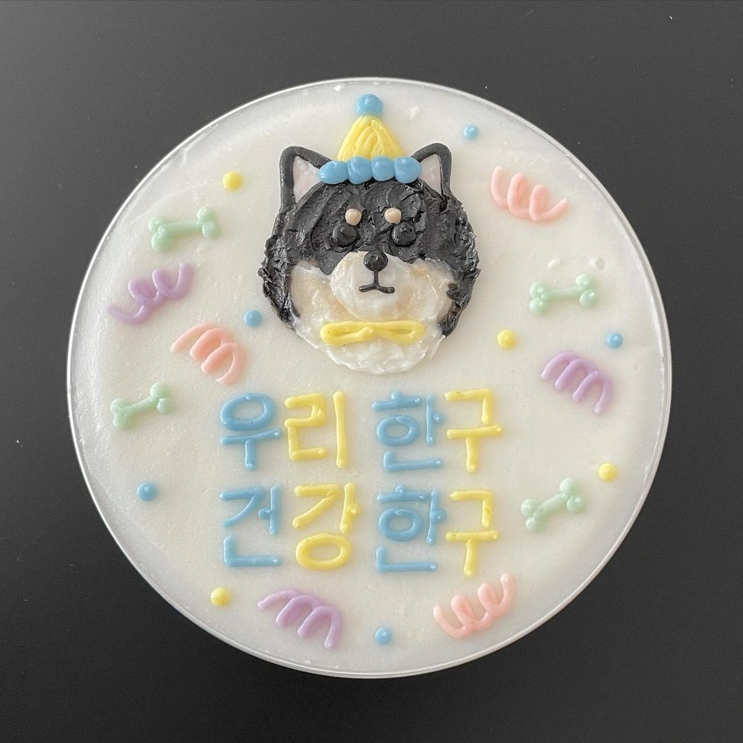 고양 구조 한구(마징가) 입양 1년 후기