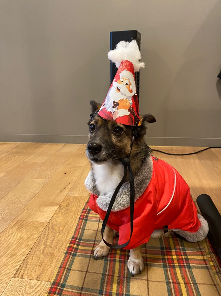 지로(리복이)와 함께한 600일