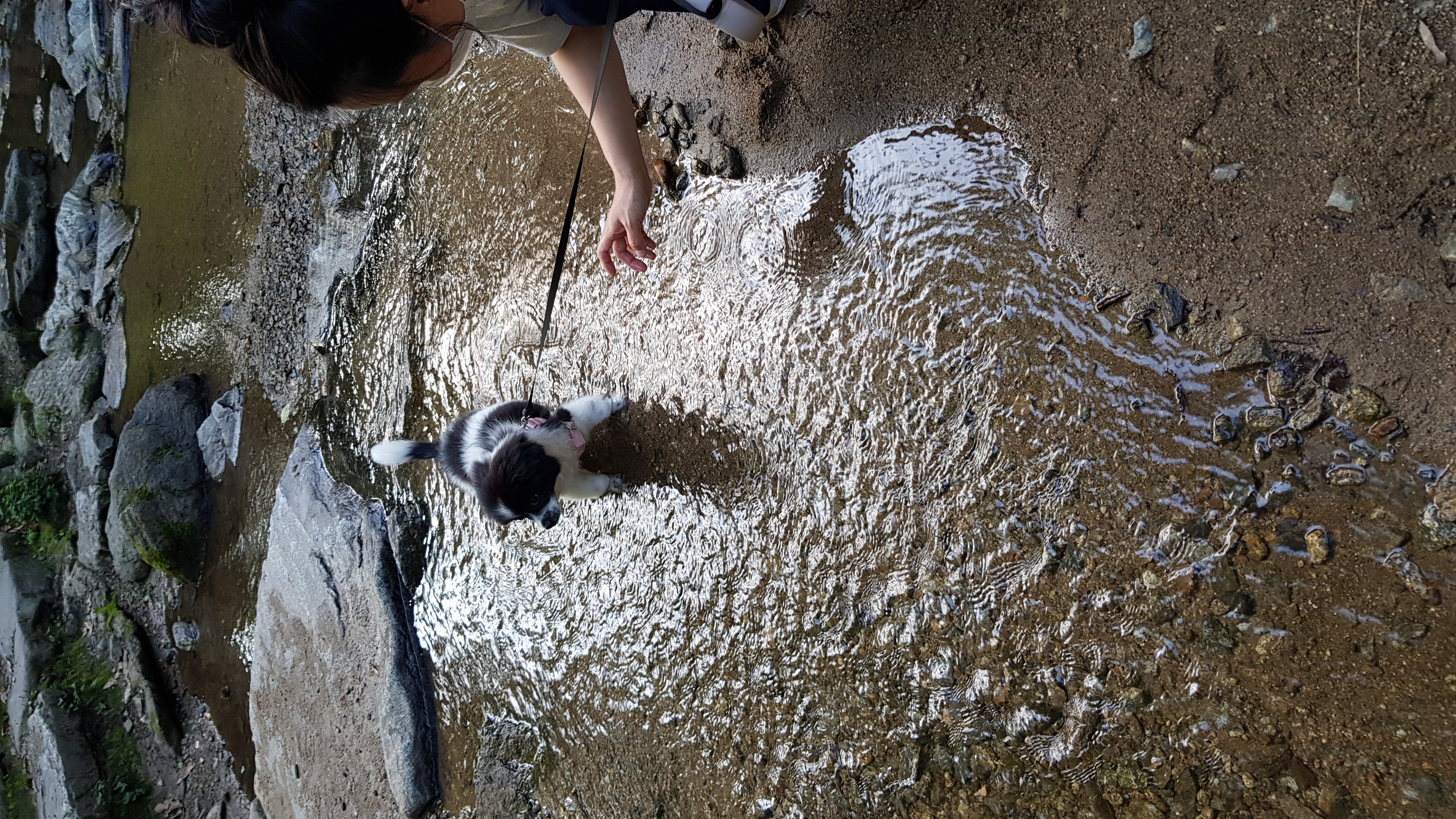 자이 입양 3달 일기