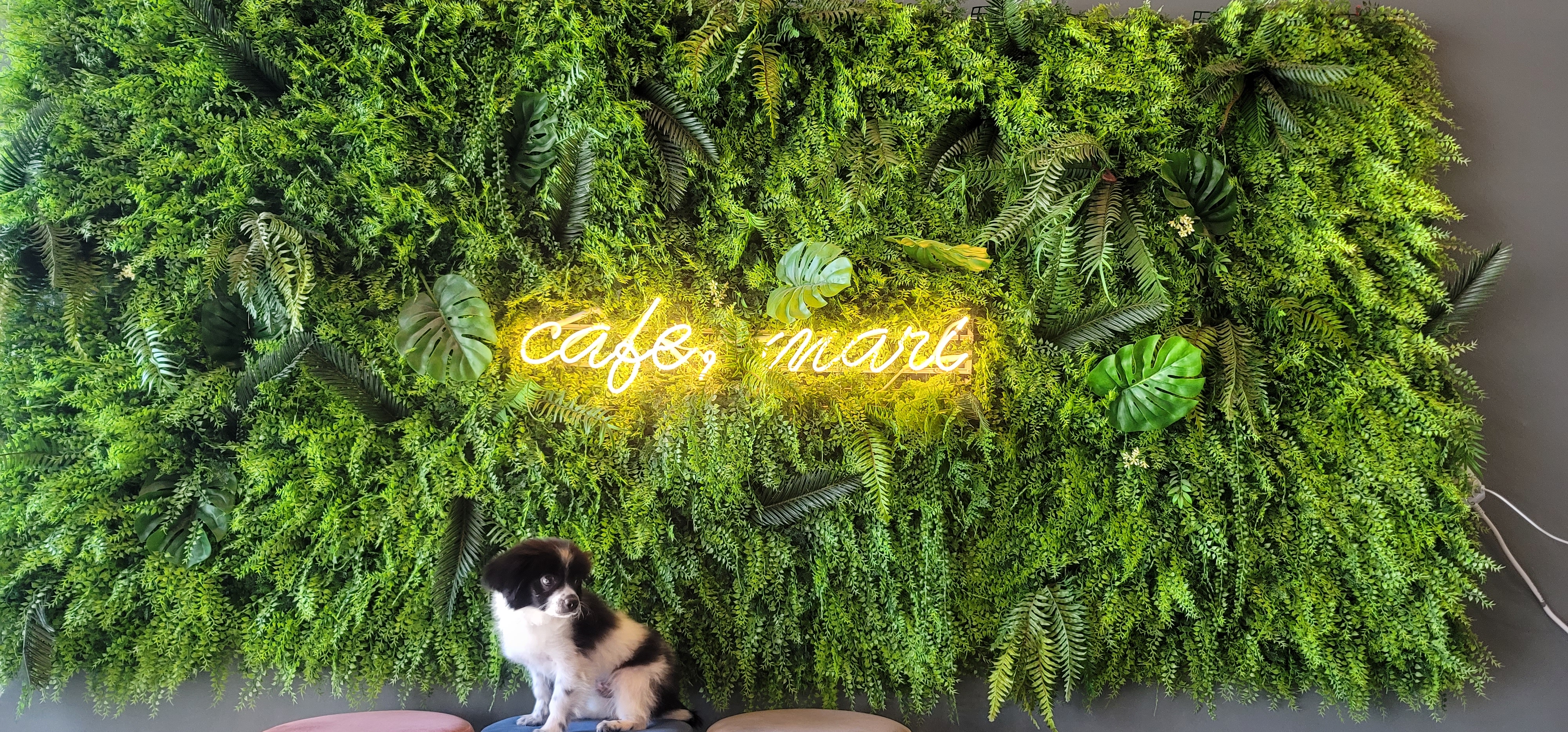 자이 입양 3달 일기