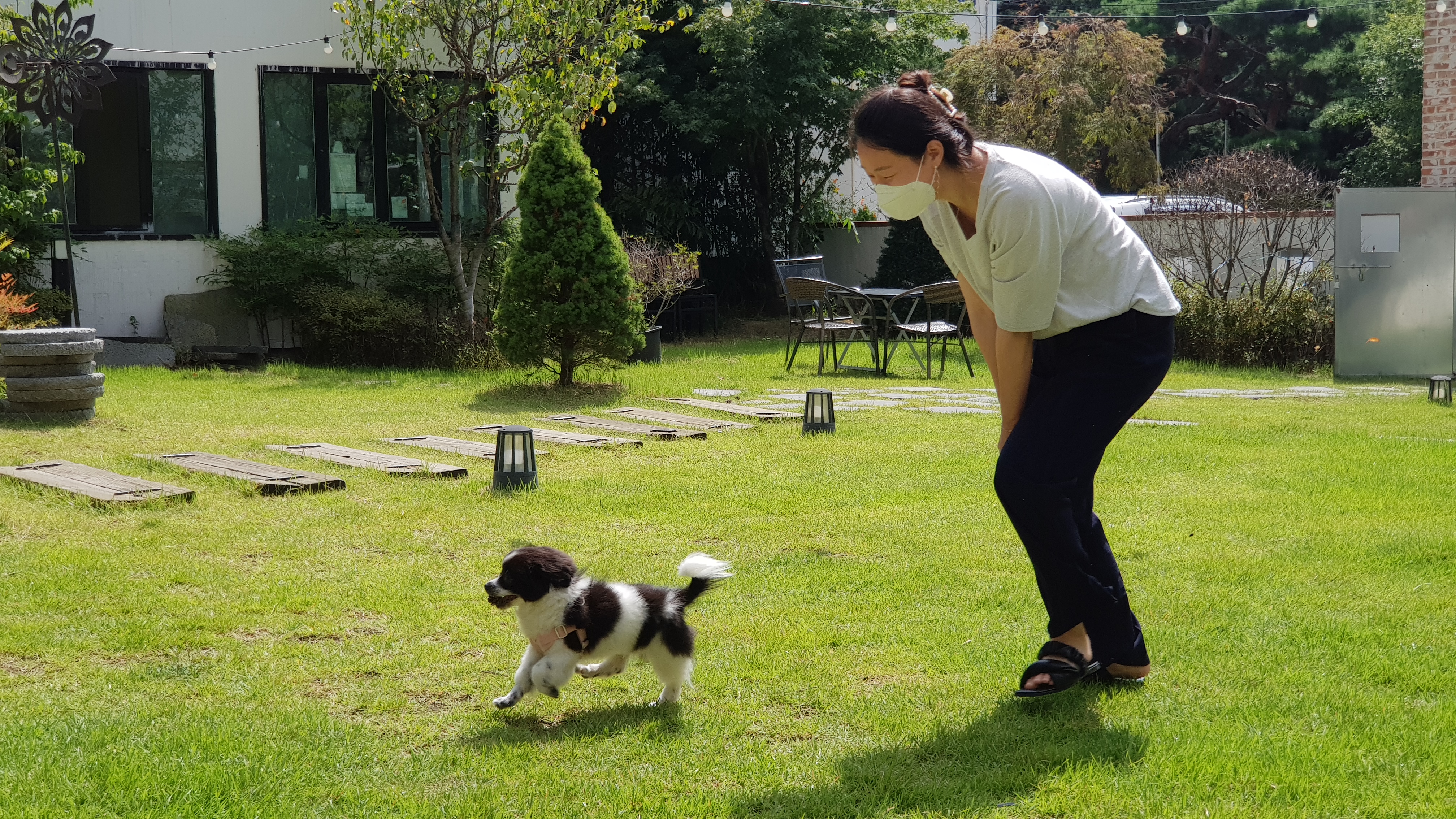 자이 입양 3달 일기