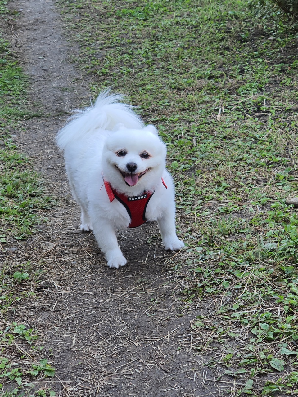 (영천 꽃별 )별이  오랜만에  소식드려요