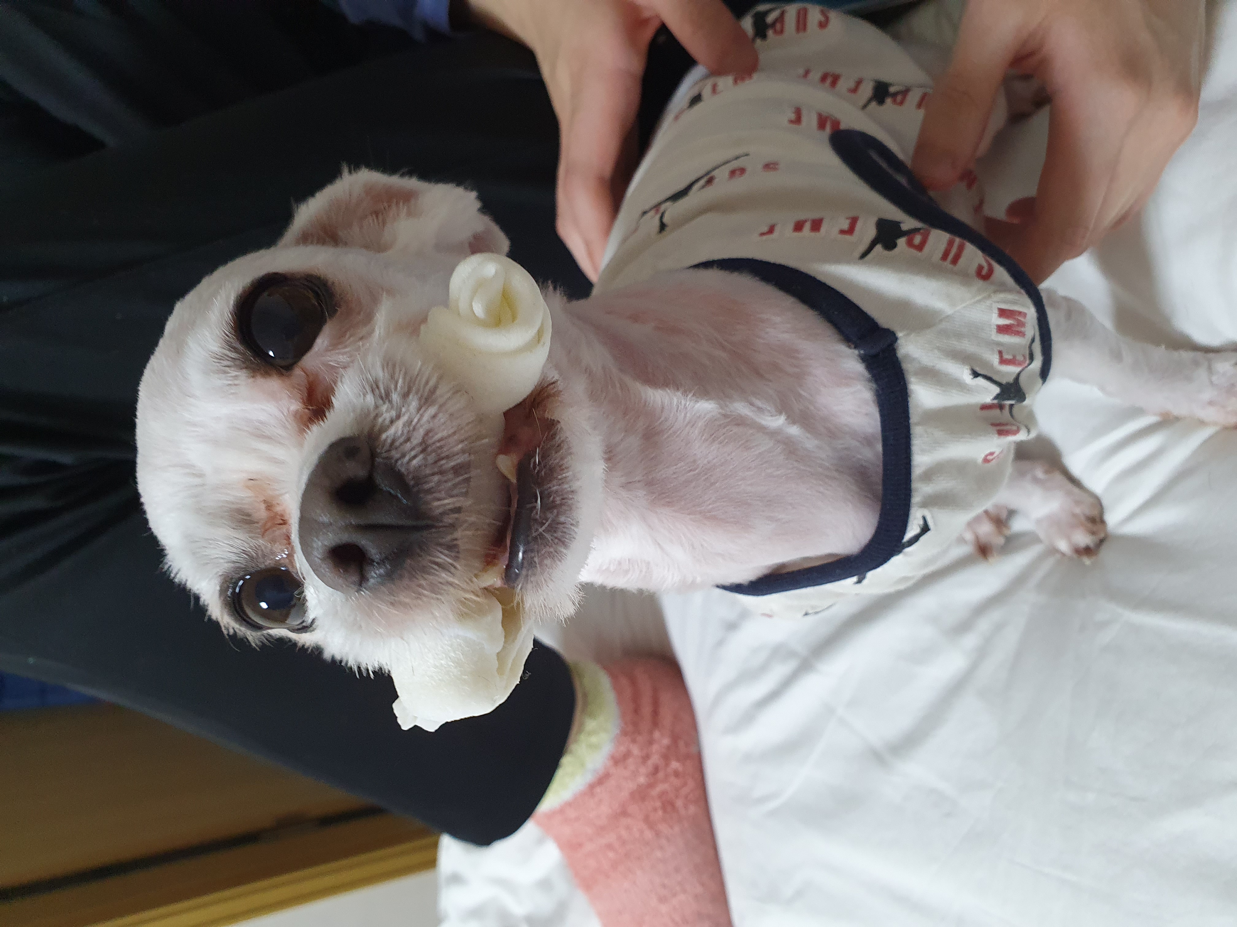 올만예요 호야예요