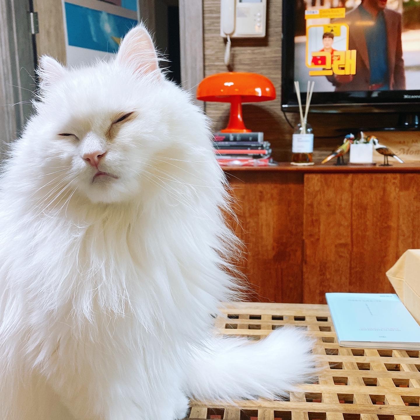 오뇨와 함께