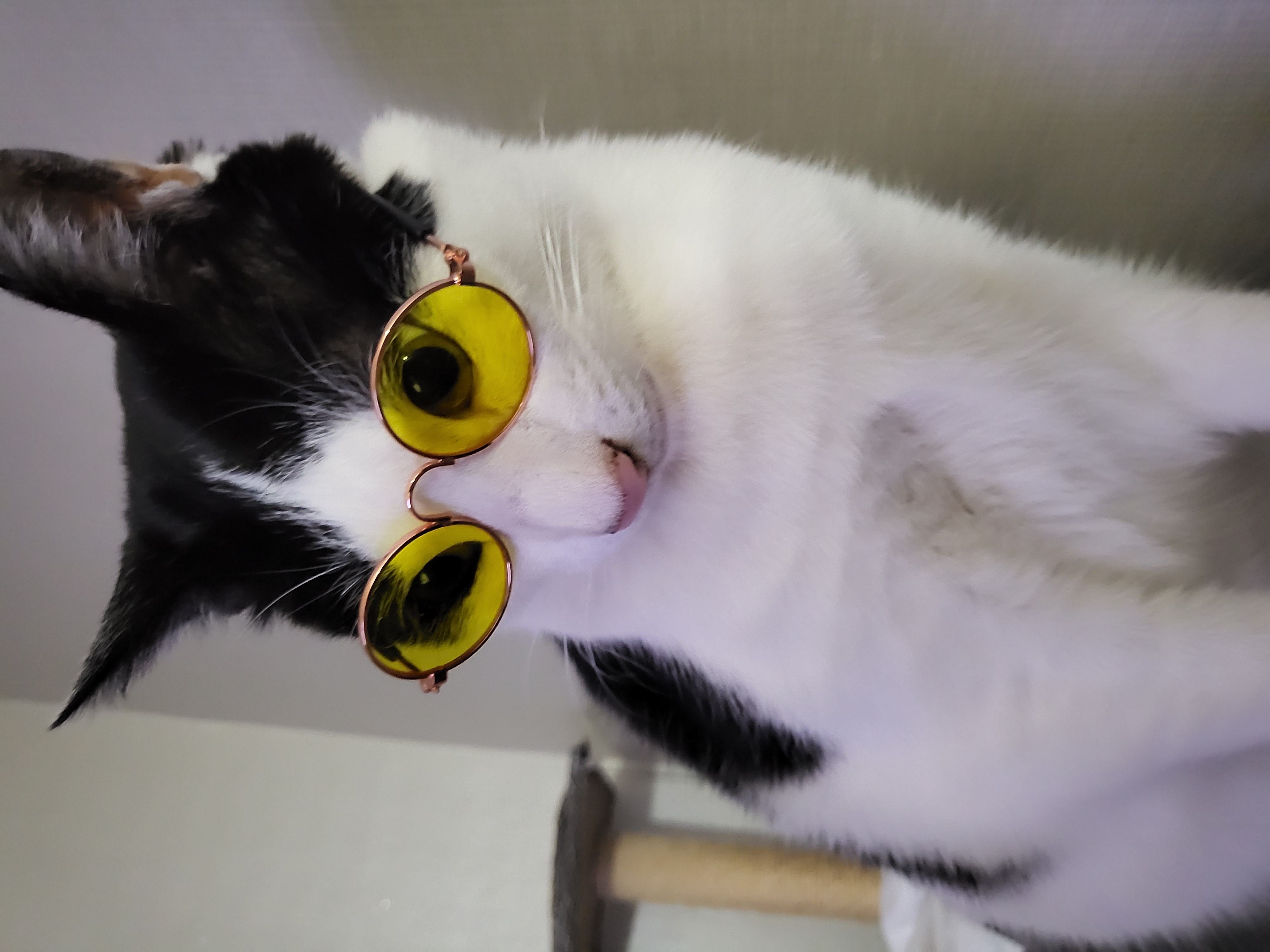 새싹이네집입니다