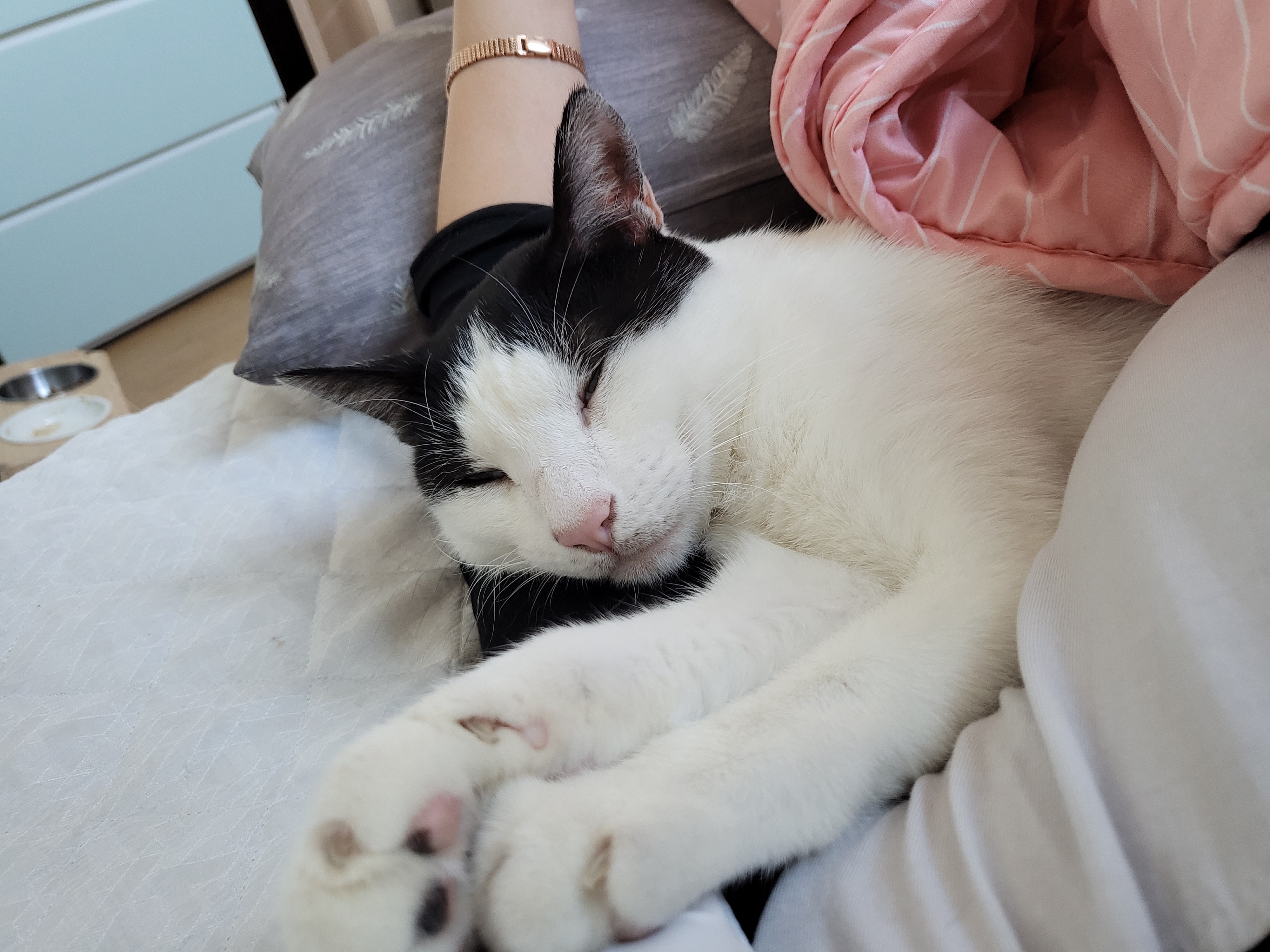 새싹이네집입니다