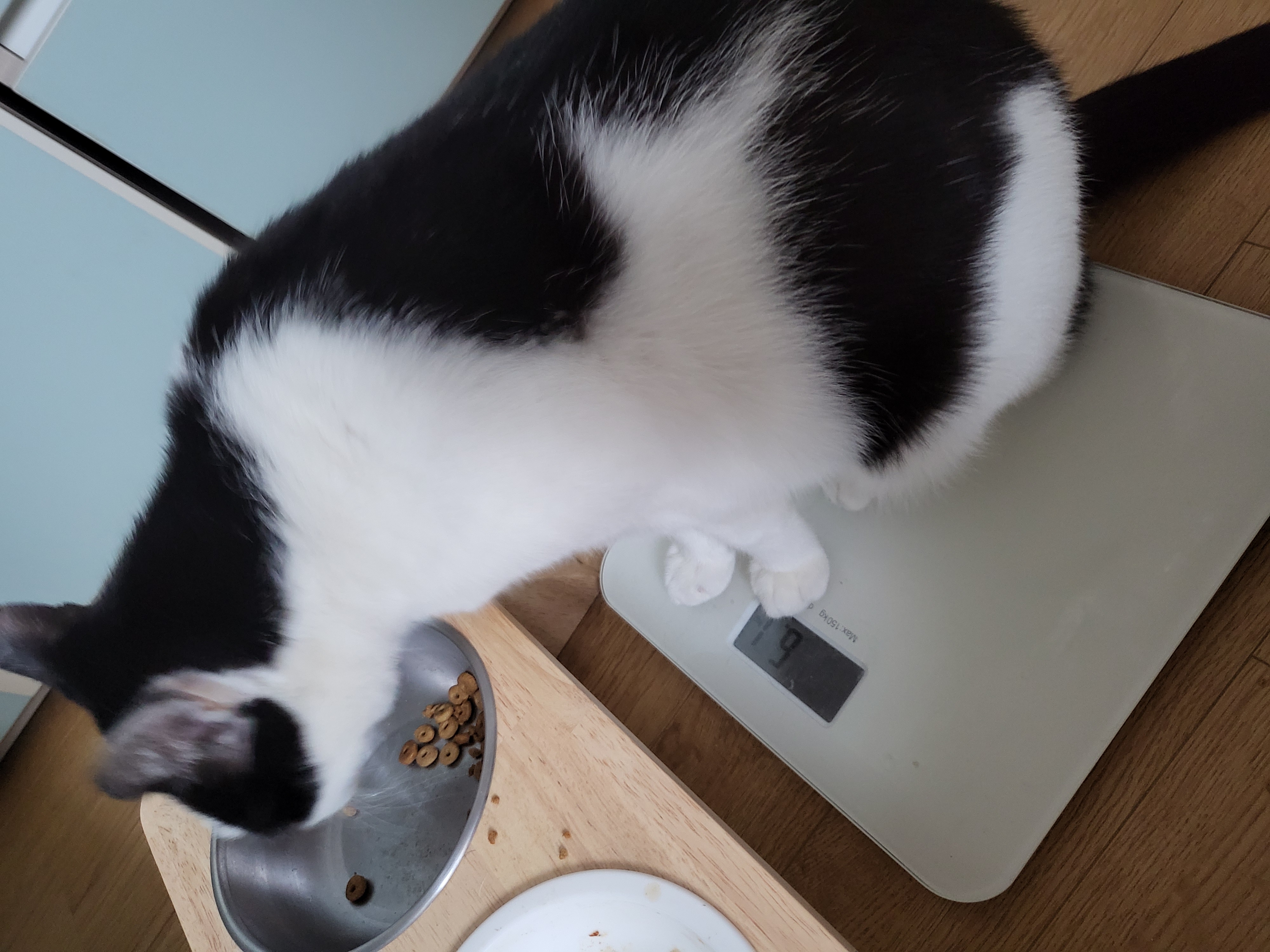 새싹이네집입니다