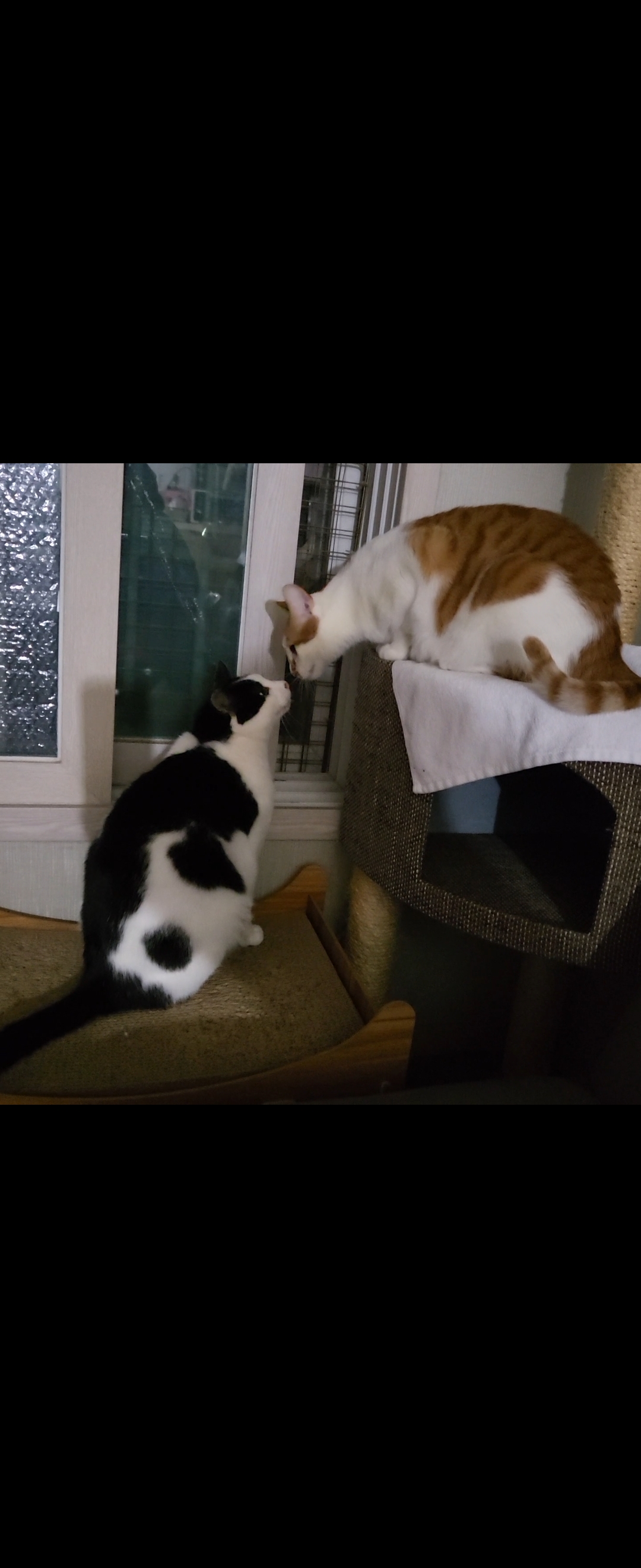 새싹이네집입니다