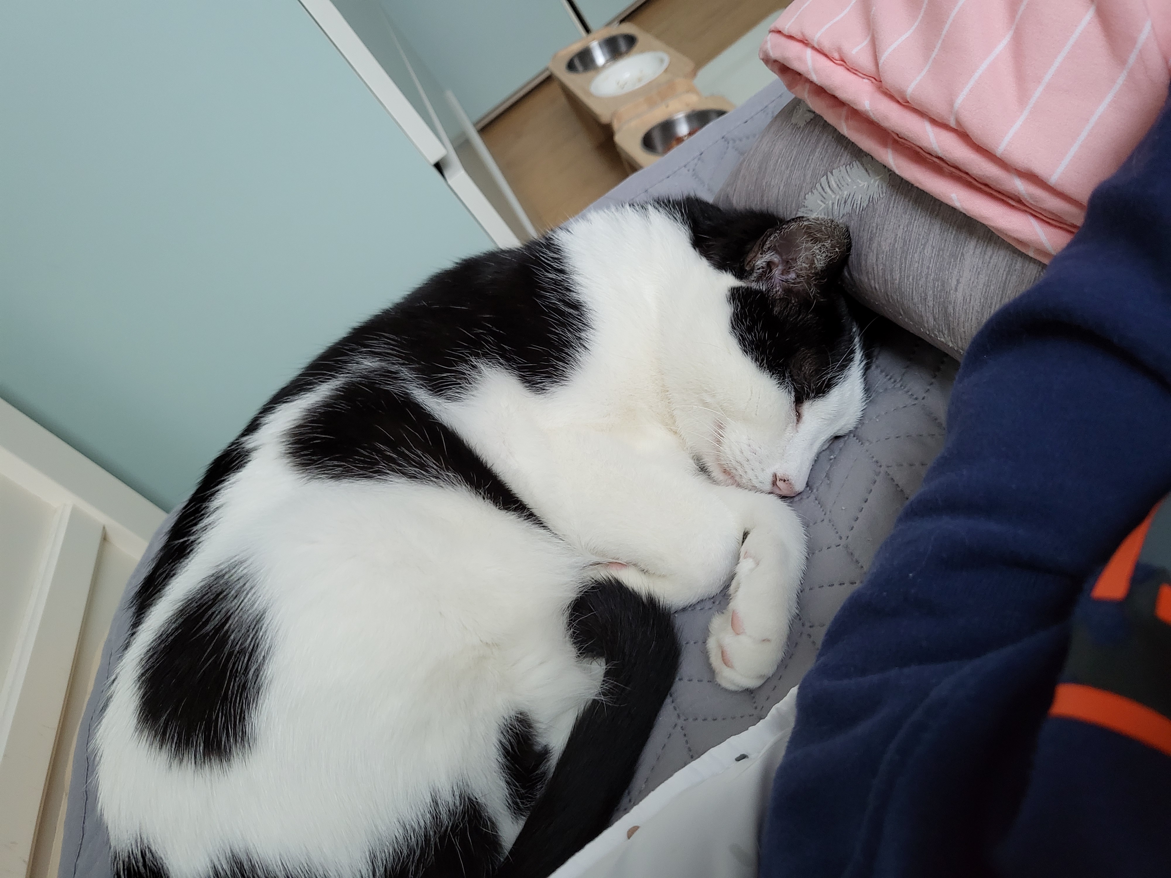 새싹이네집입니다