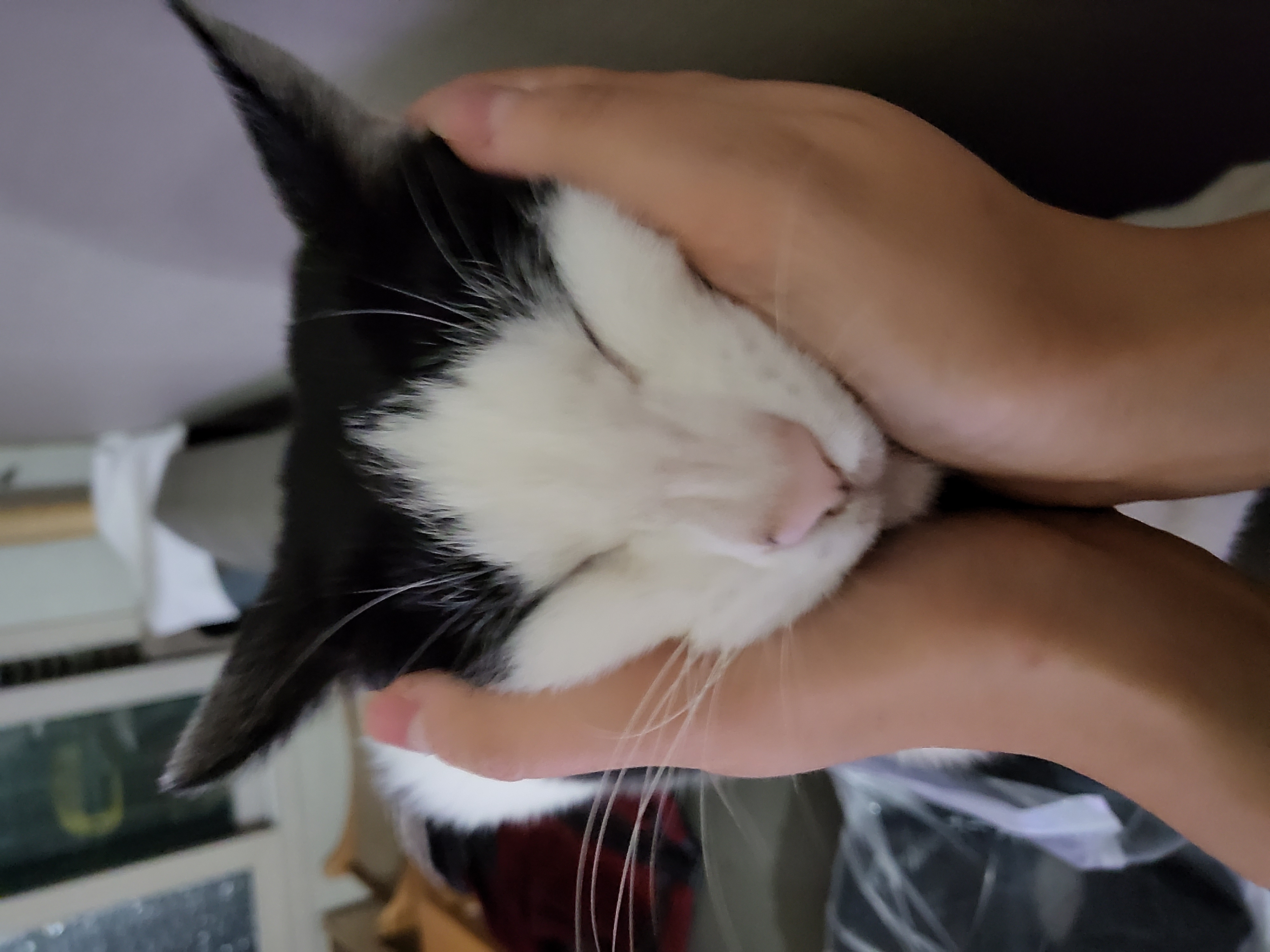 새싹이네집입니다