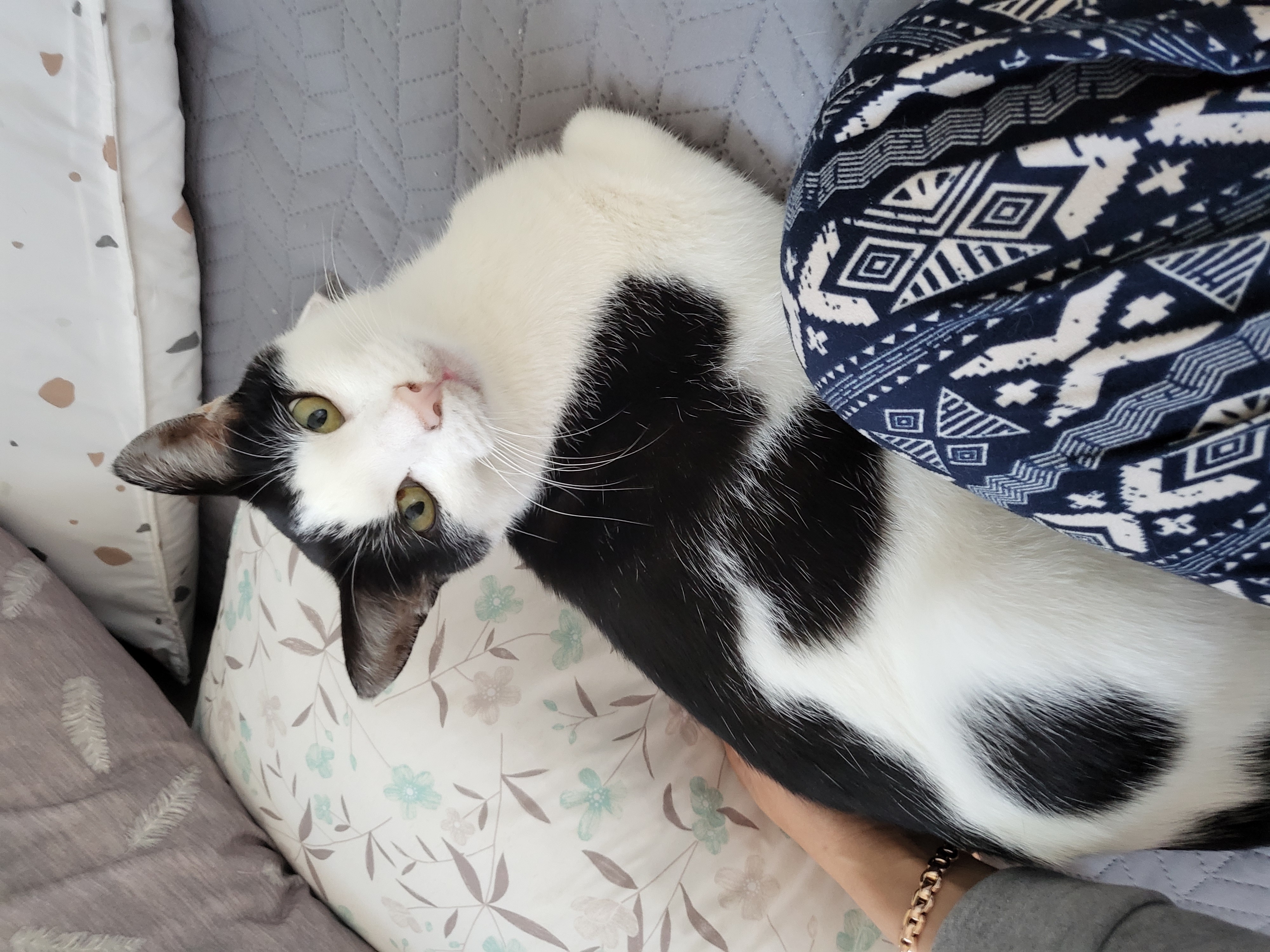 새싹이네집입니다