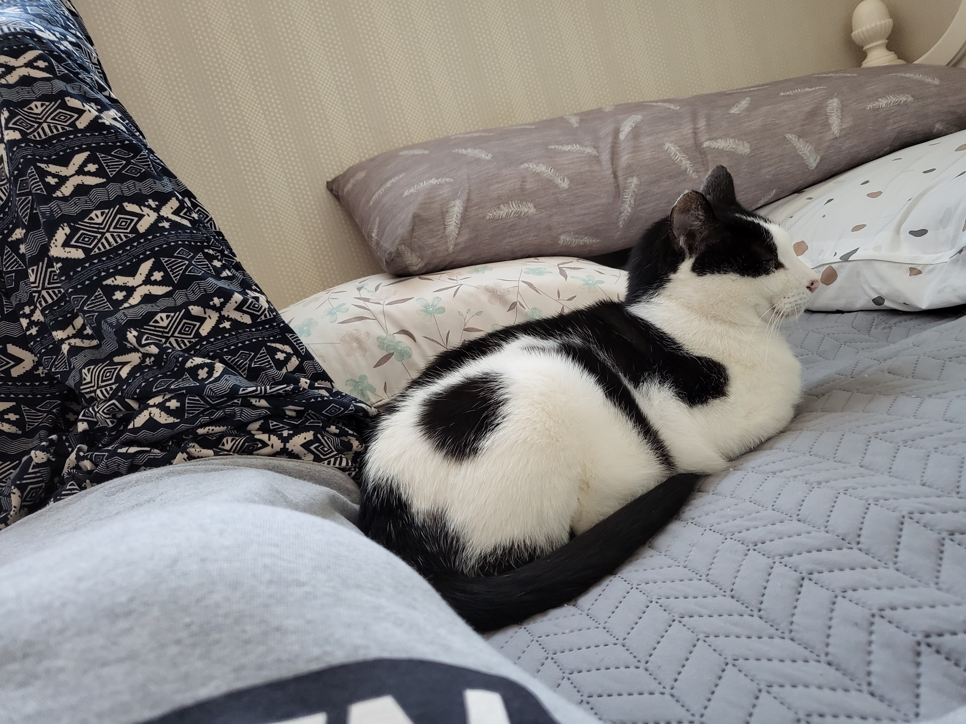 새싹이네집입니다