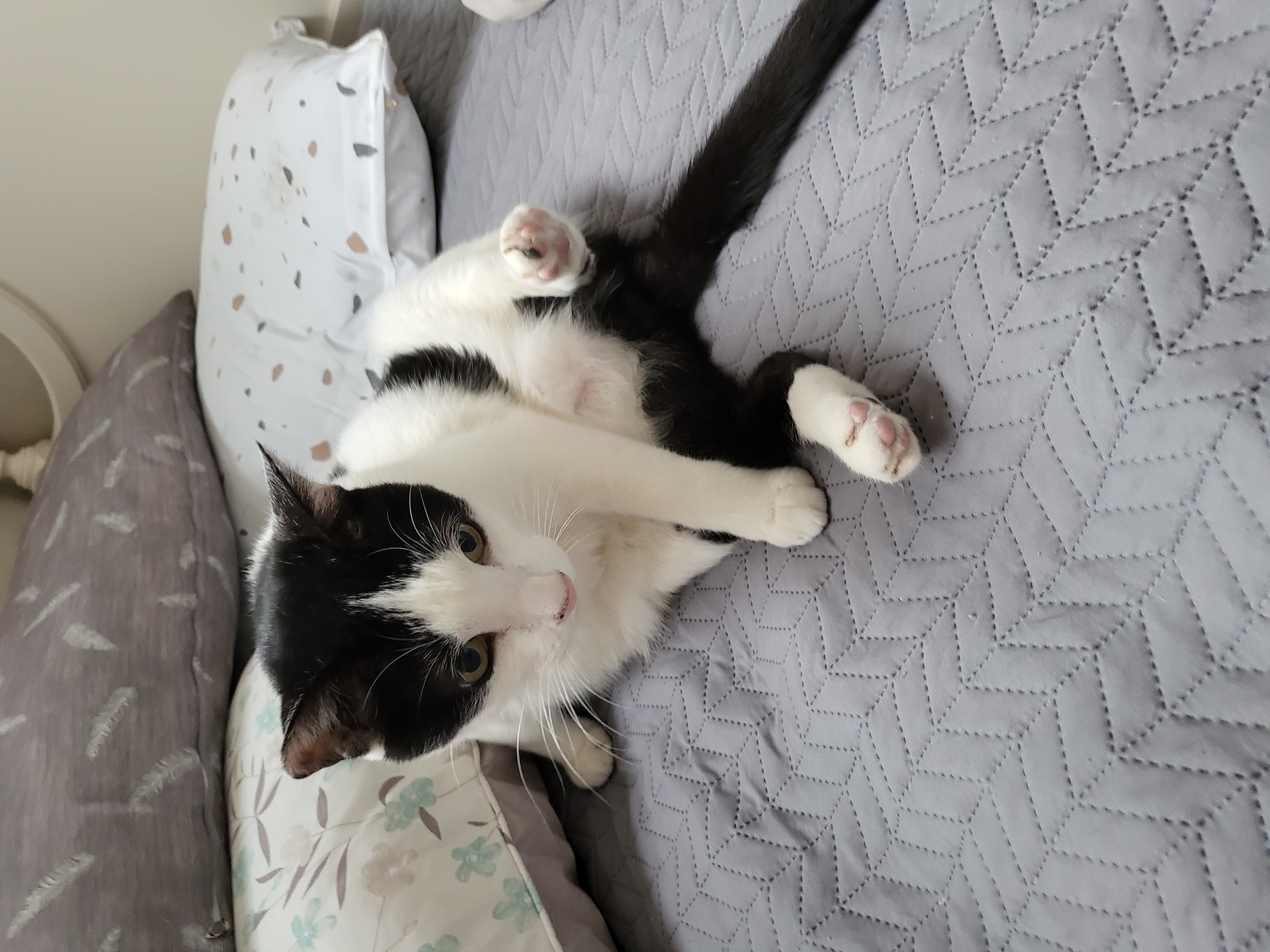 새싹이네집입니다