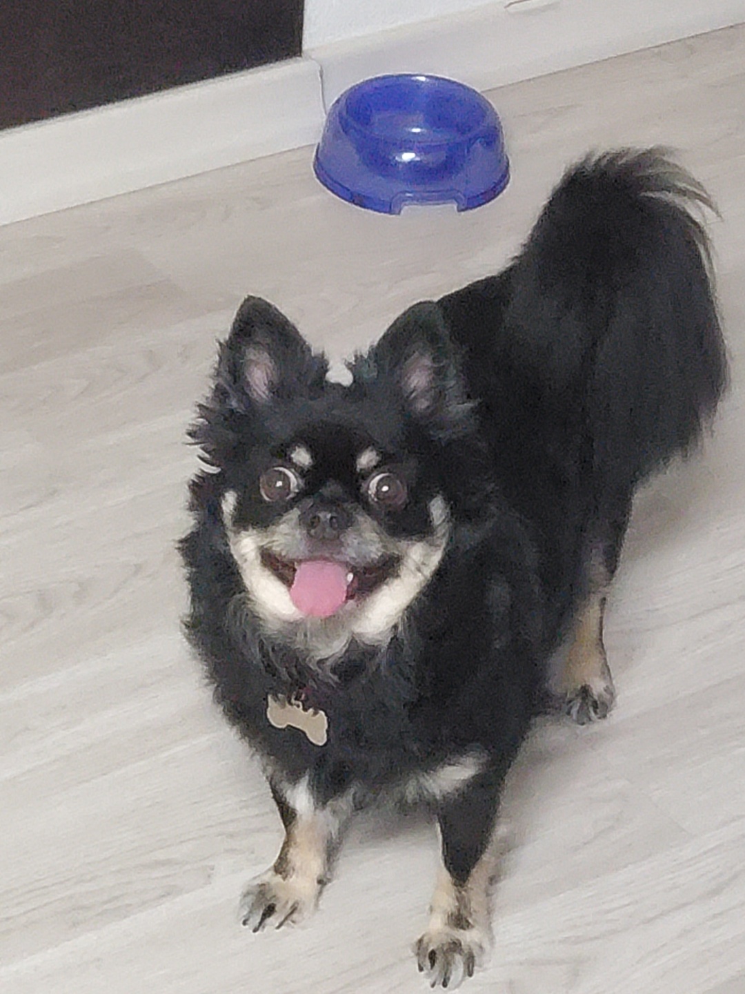 랩몬(몽글)이가 3년 차 생활 이야기와 해랑(하루)의 이야기를 전해드립니다.