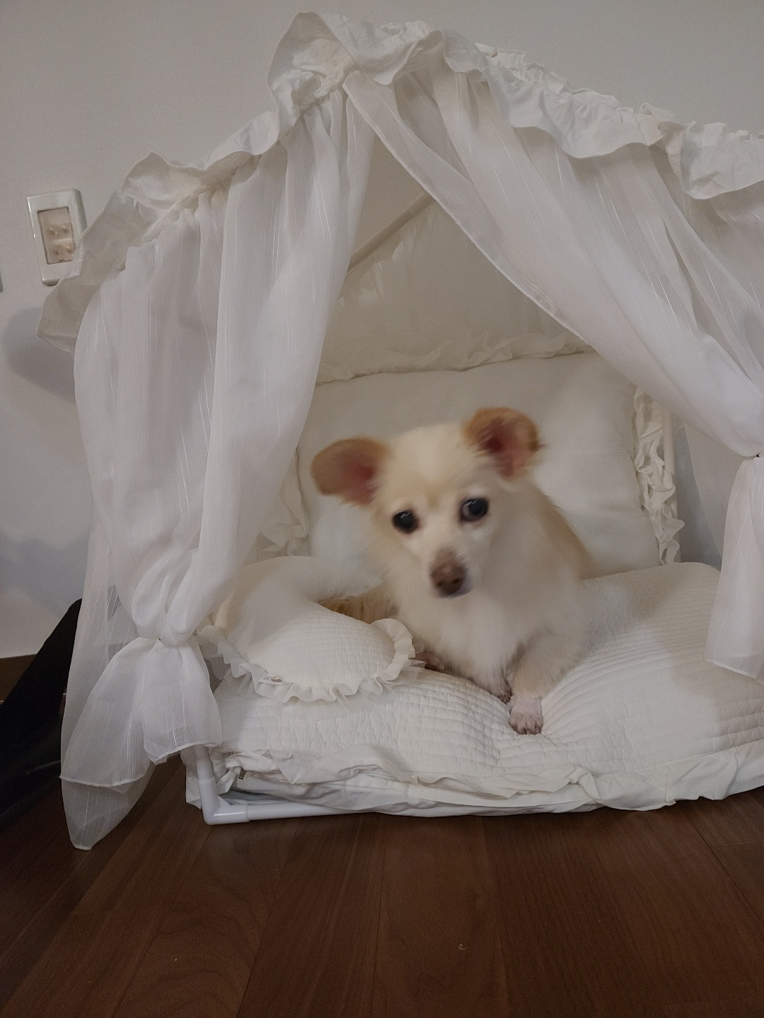 우리 하루 잘 지내고 있어요!!