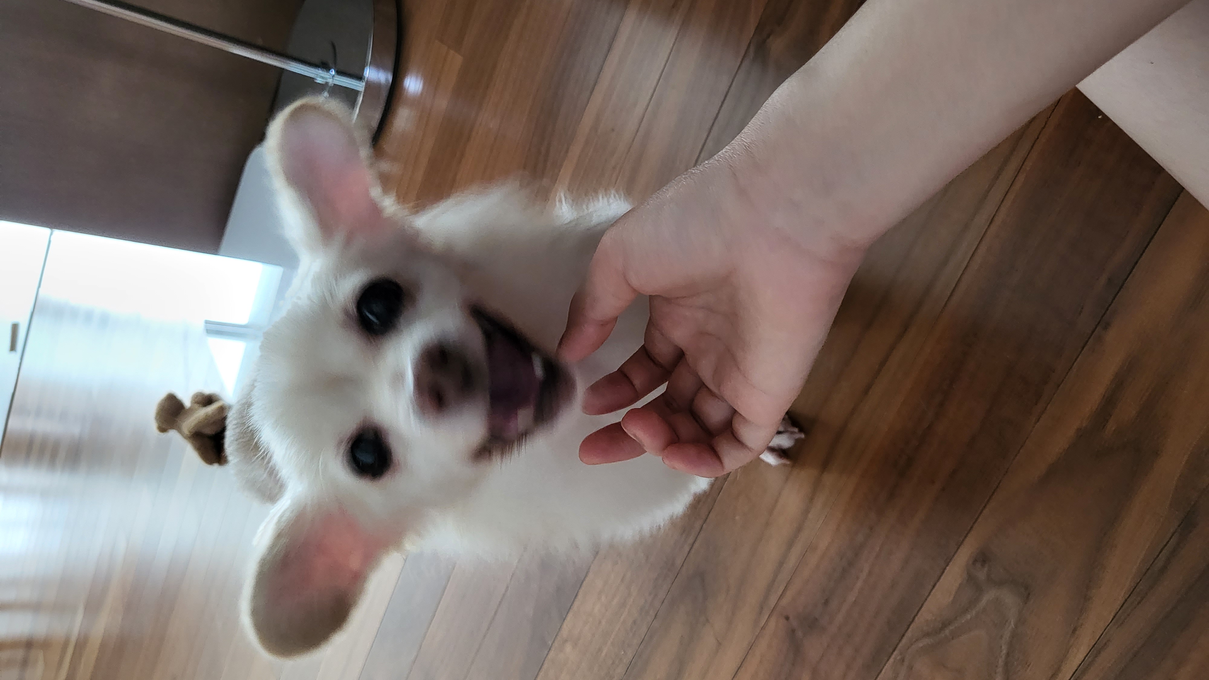 우리 하루 잘 지내고 있어요!!