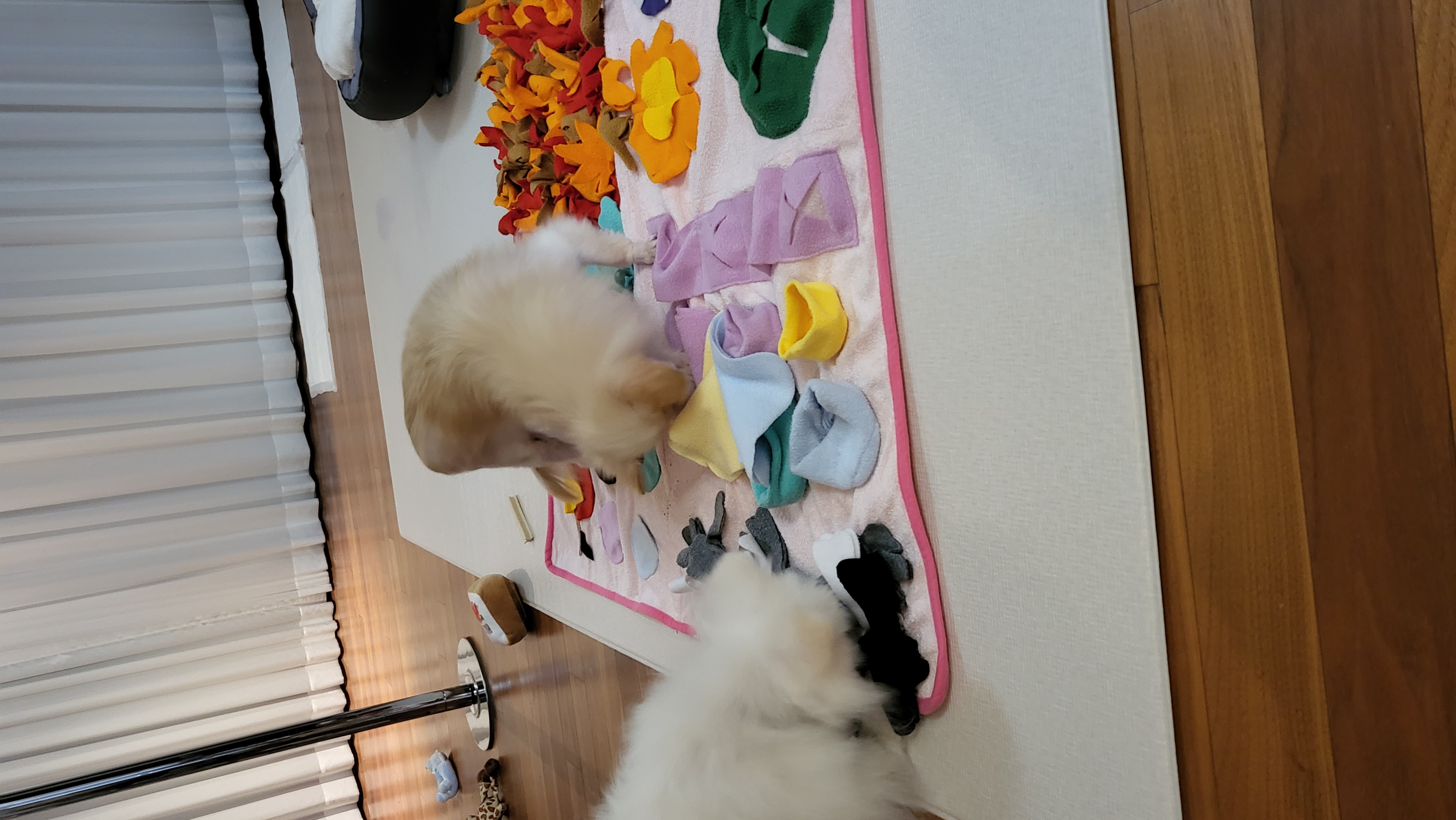 우리 하루 잘 지내고 있어요!!