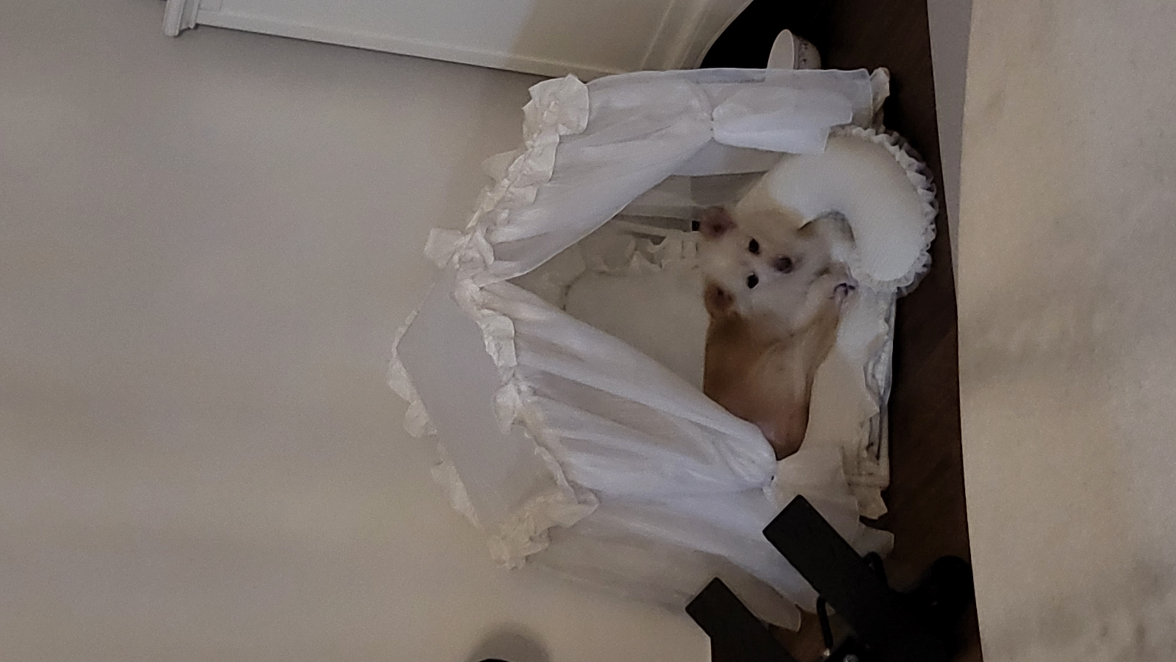 우리 하루 잘 지내고 있어요!!