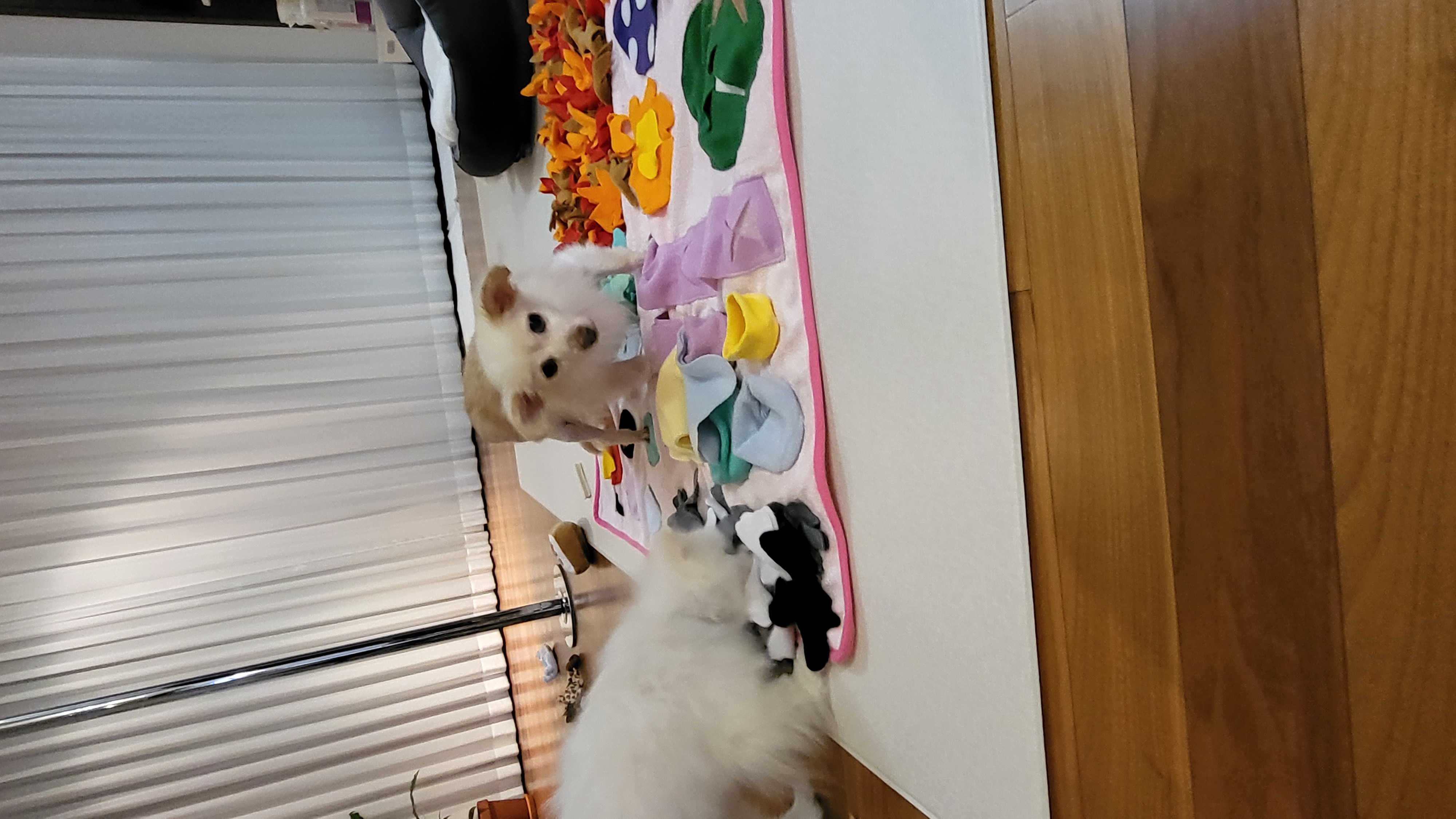 우리 하루 잘 지내고 있어요!!