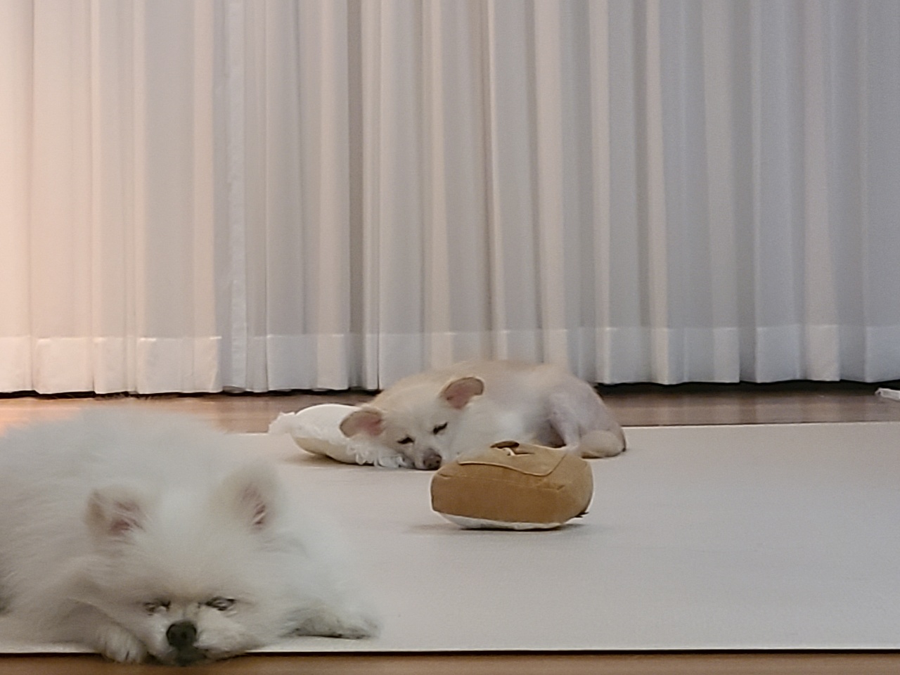 우리 하루 잘 지내고 있어요!!