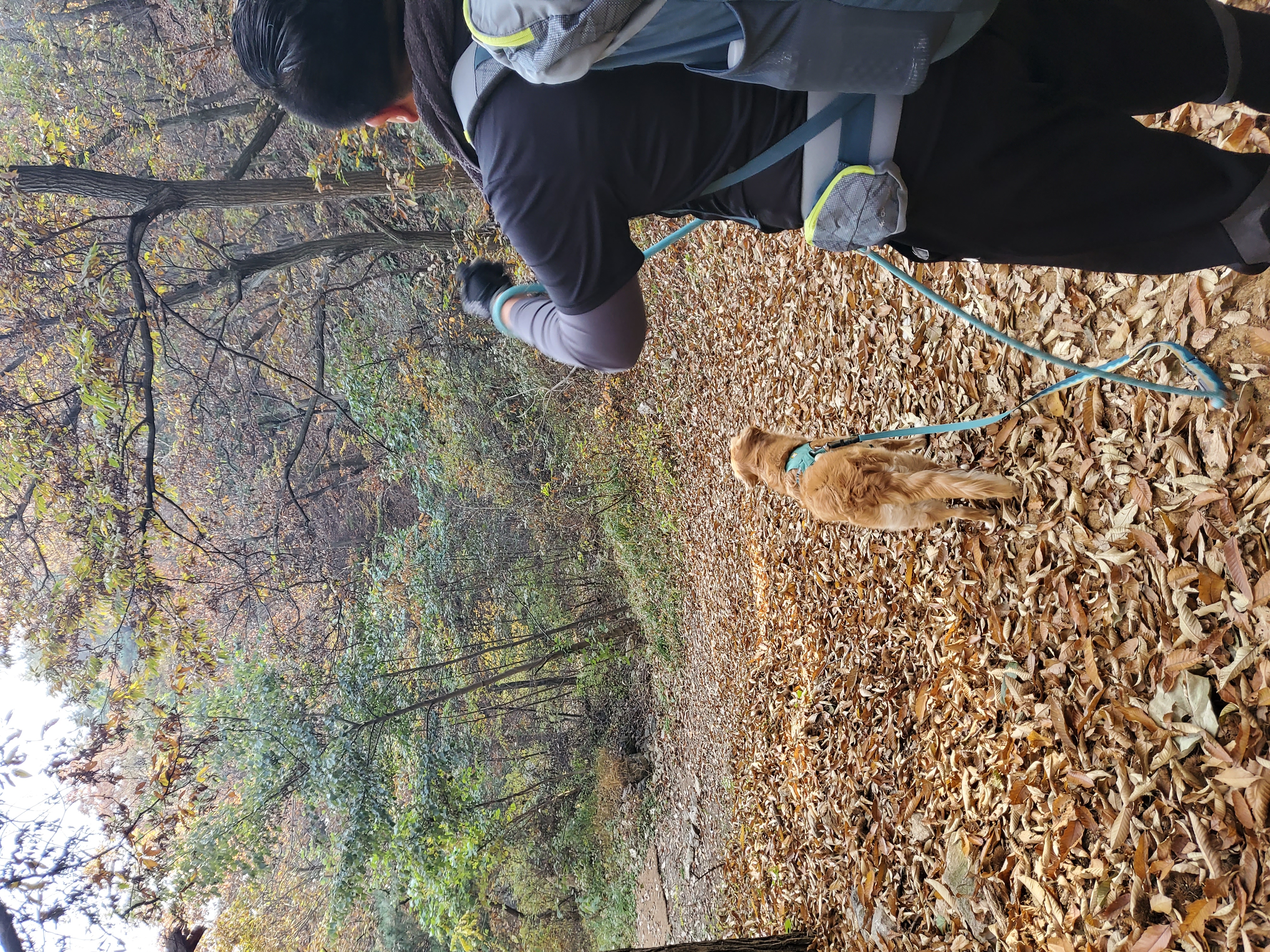 달이네 입니다(고양-22,다오)