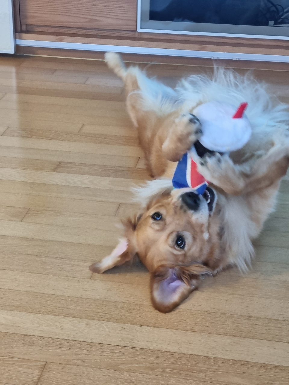 달이네 입니다(고양-22,다오)