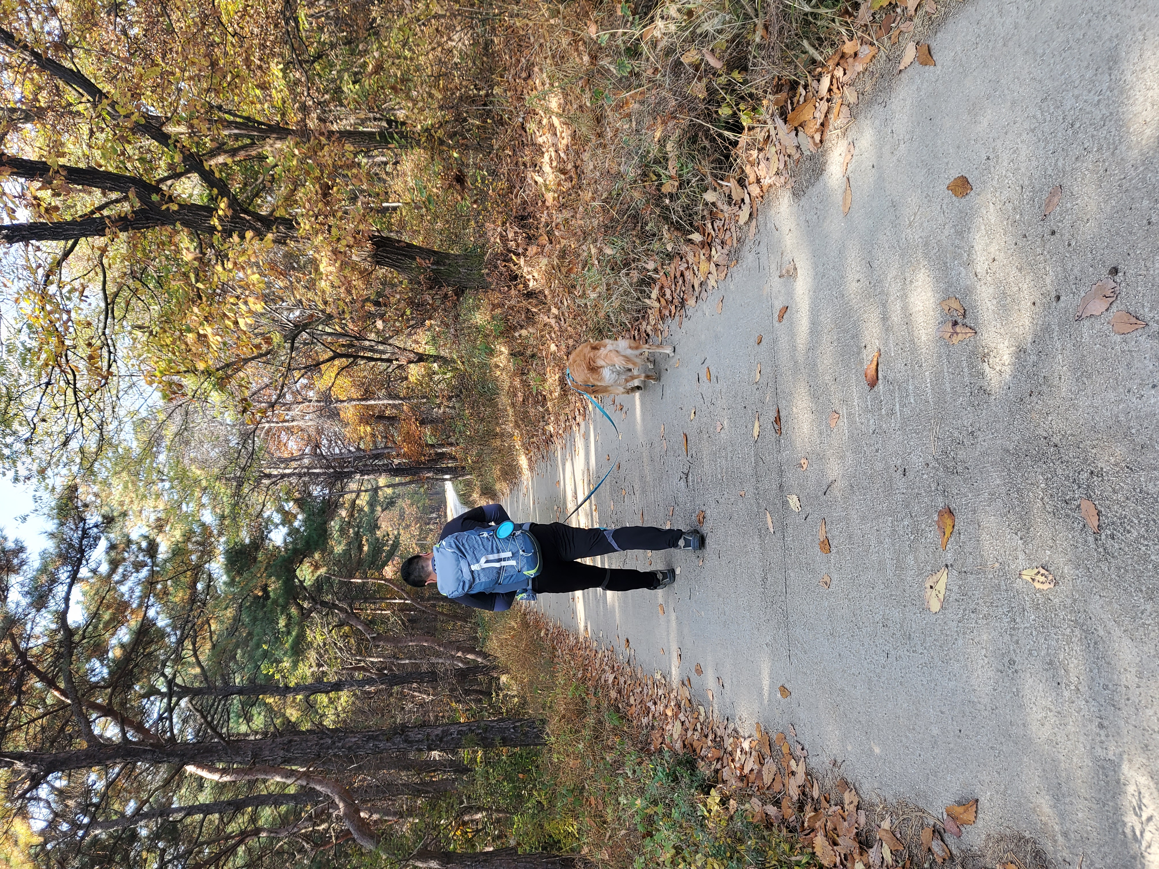 달이네 입니다(고양-22,다오)