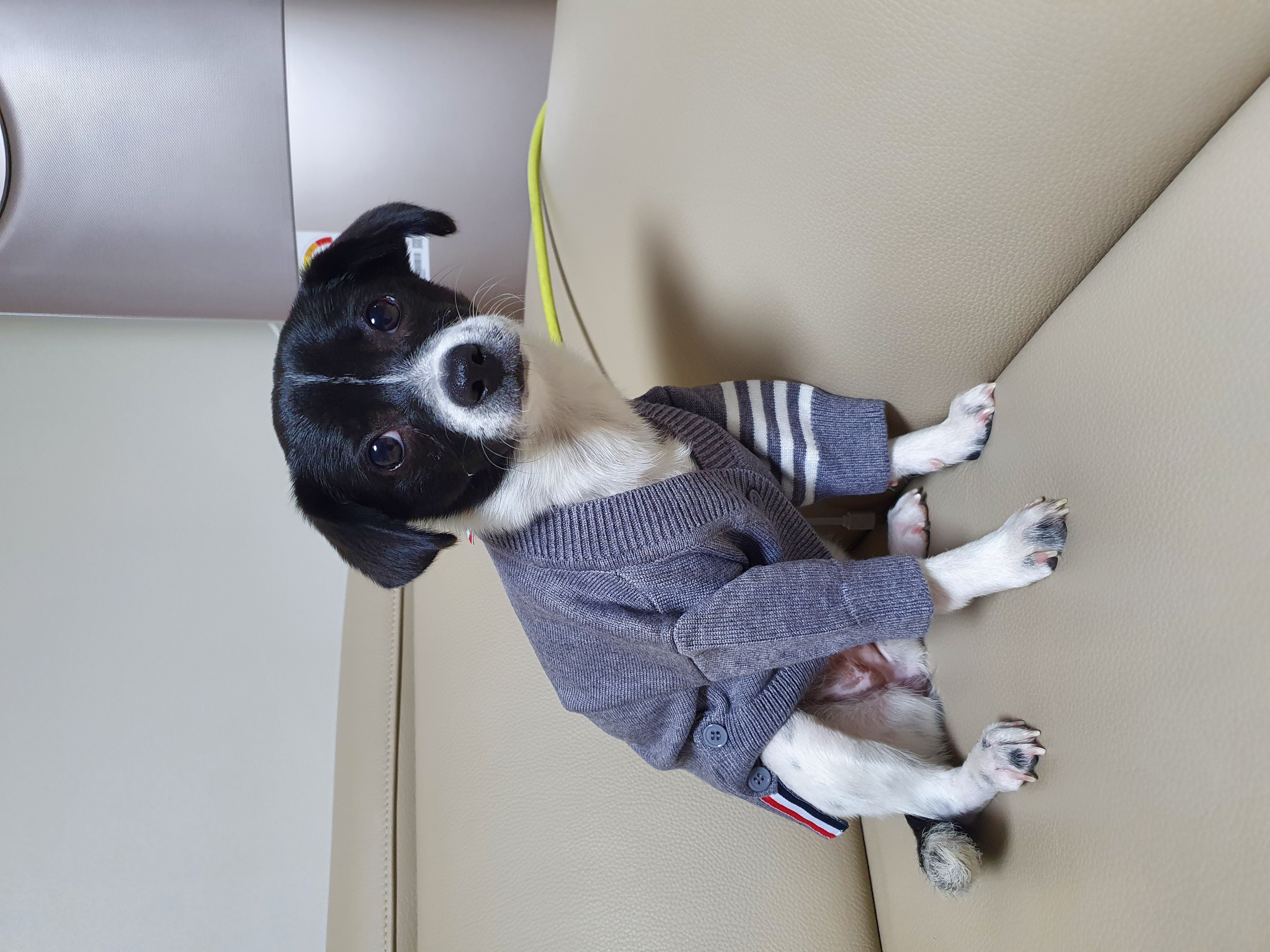 하니(모원)이 온지도 두달반이네요