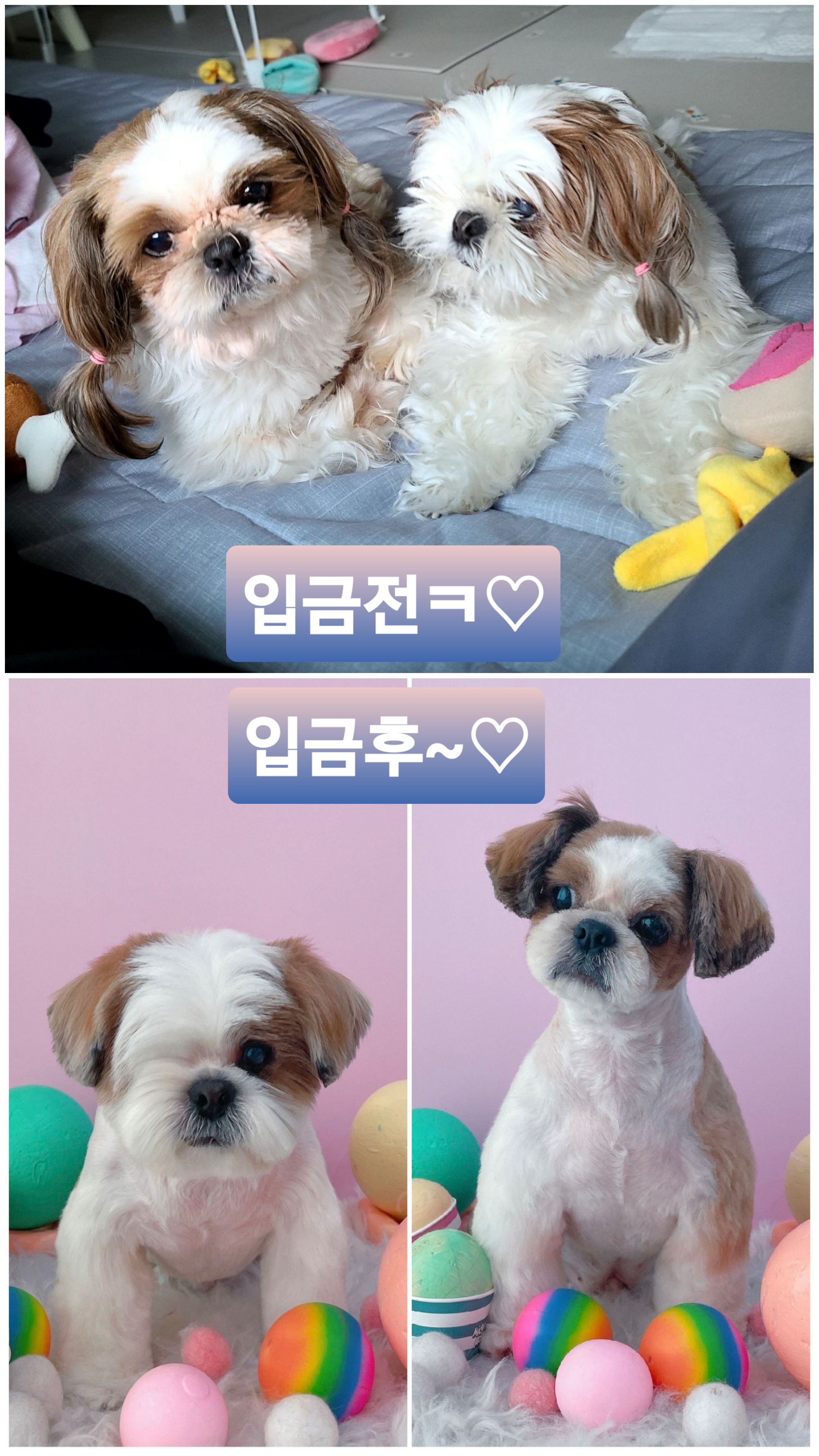 샘💗복민(찌개랑김치),오랜만에 찾아뵙네요.~♡