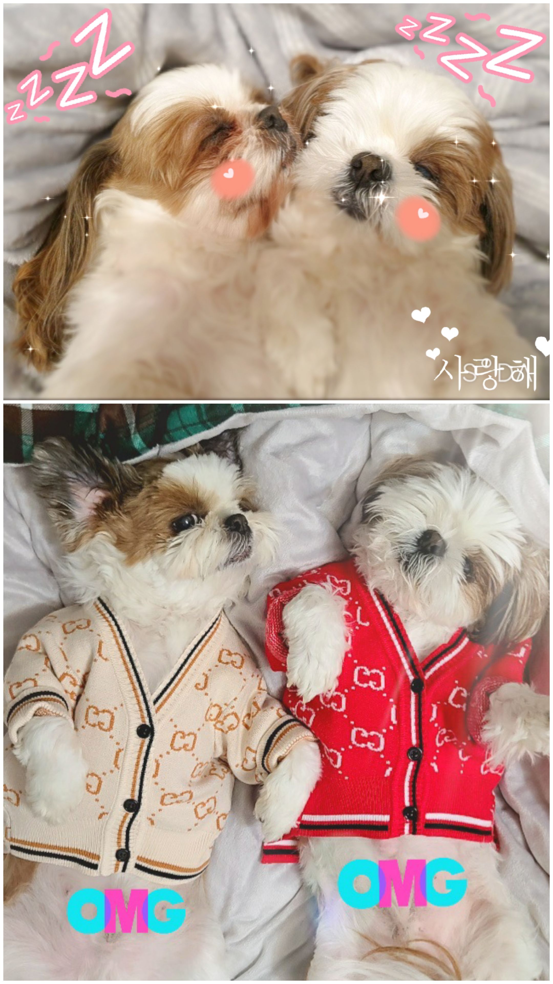 샘💗복민(찌개랑김치),오랜만에 찾아뵙네요.~♡