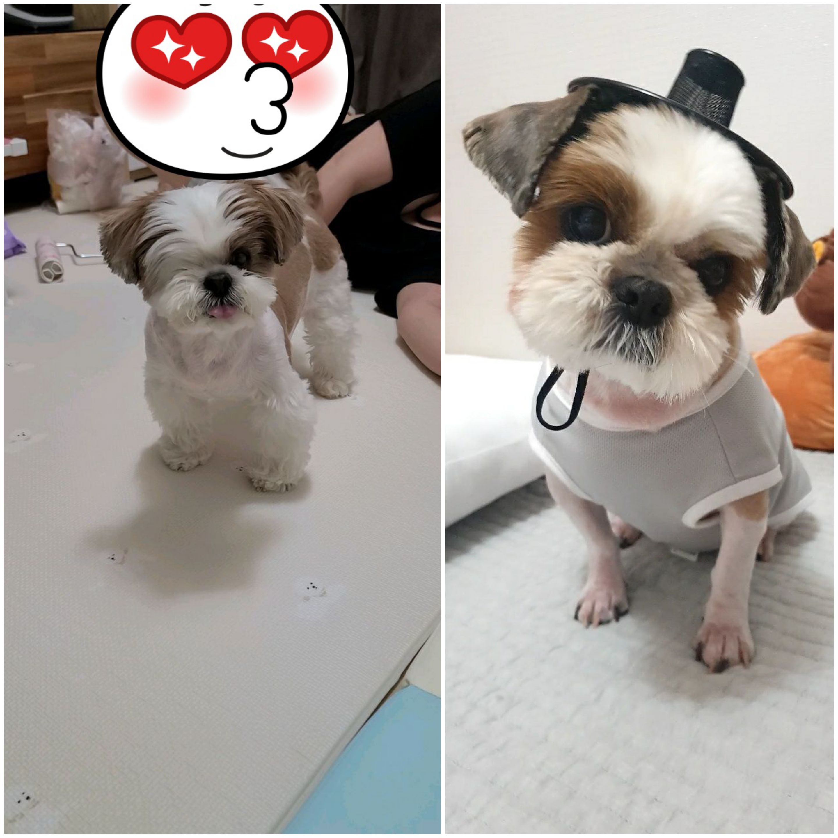 샘💗복민(찌개랑김치),오랜만에 찾아뵙네요.~♡