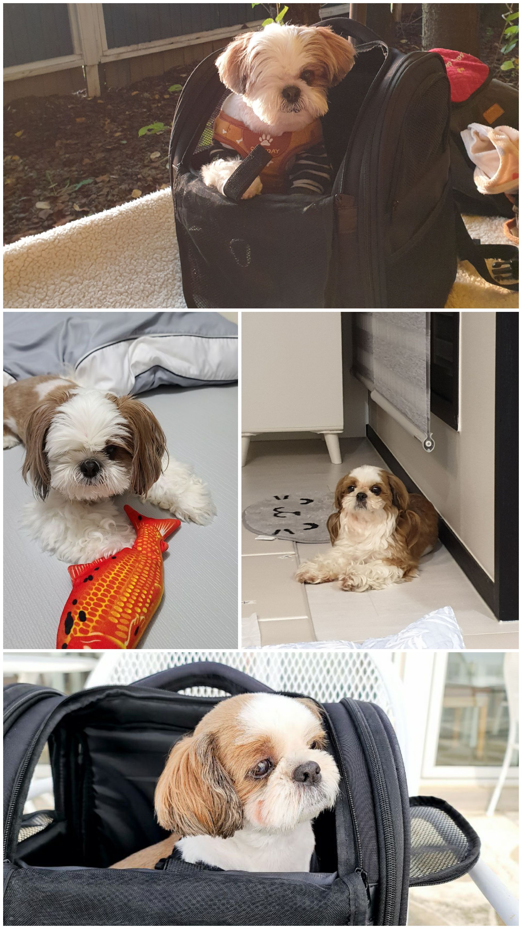 샘💗복민(찌개랑김치),오랜만에 찾아뵙네요.~♡