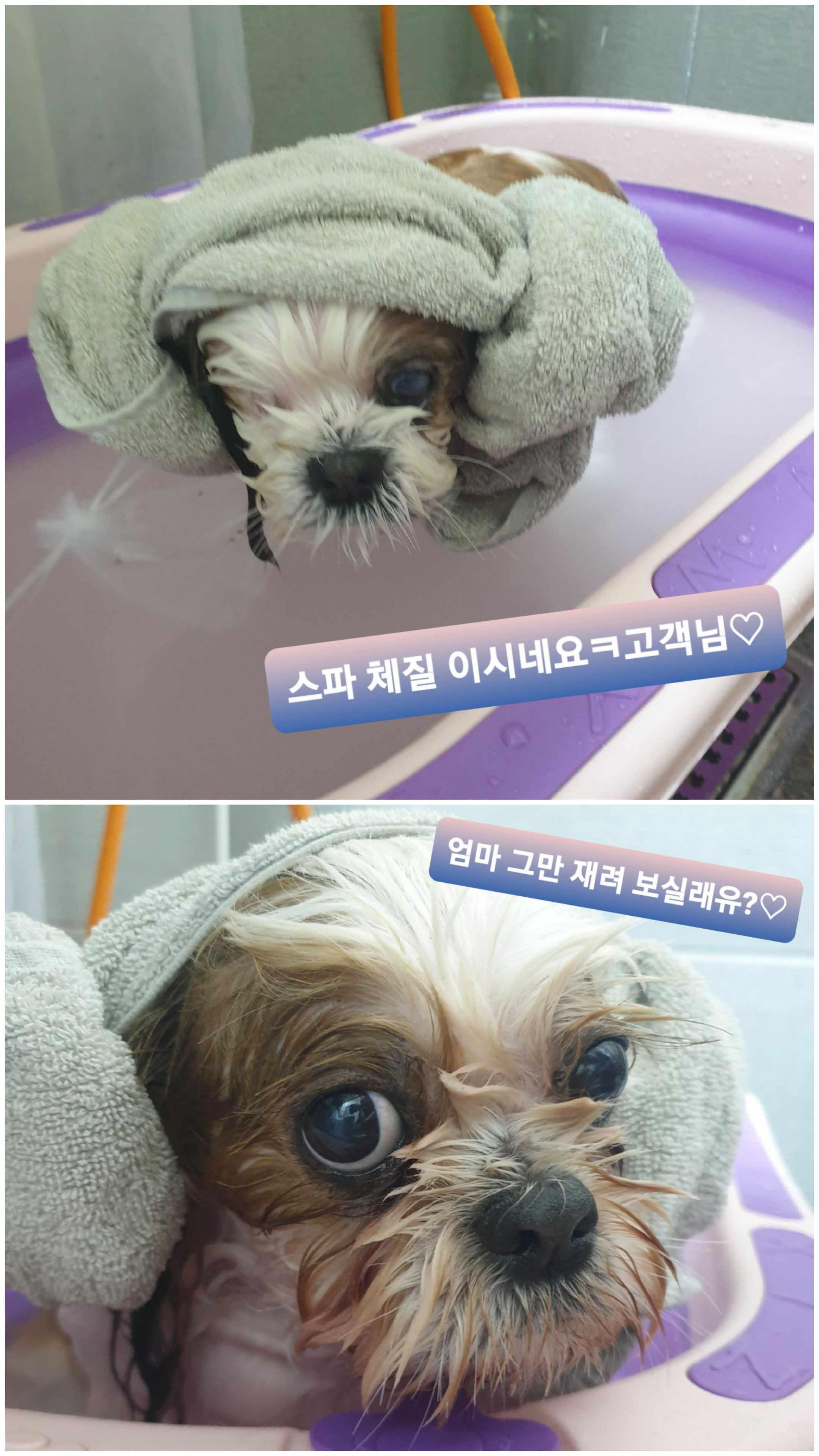 샘💗복민(찌개랑김치),오랜만에 찾아뵙네요.~♡