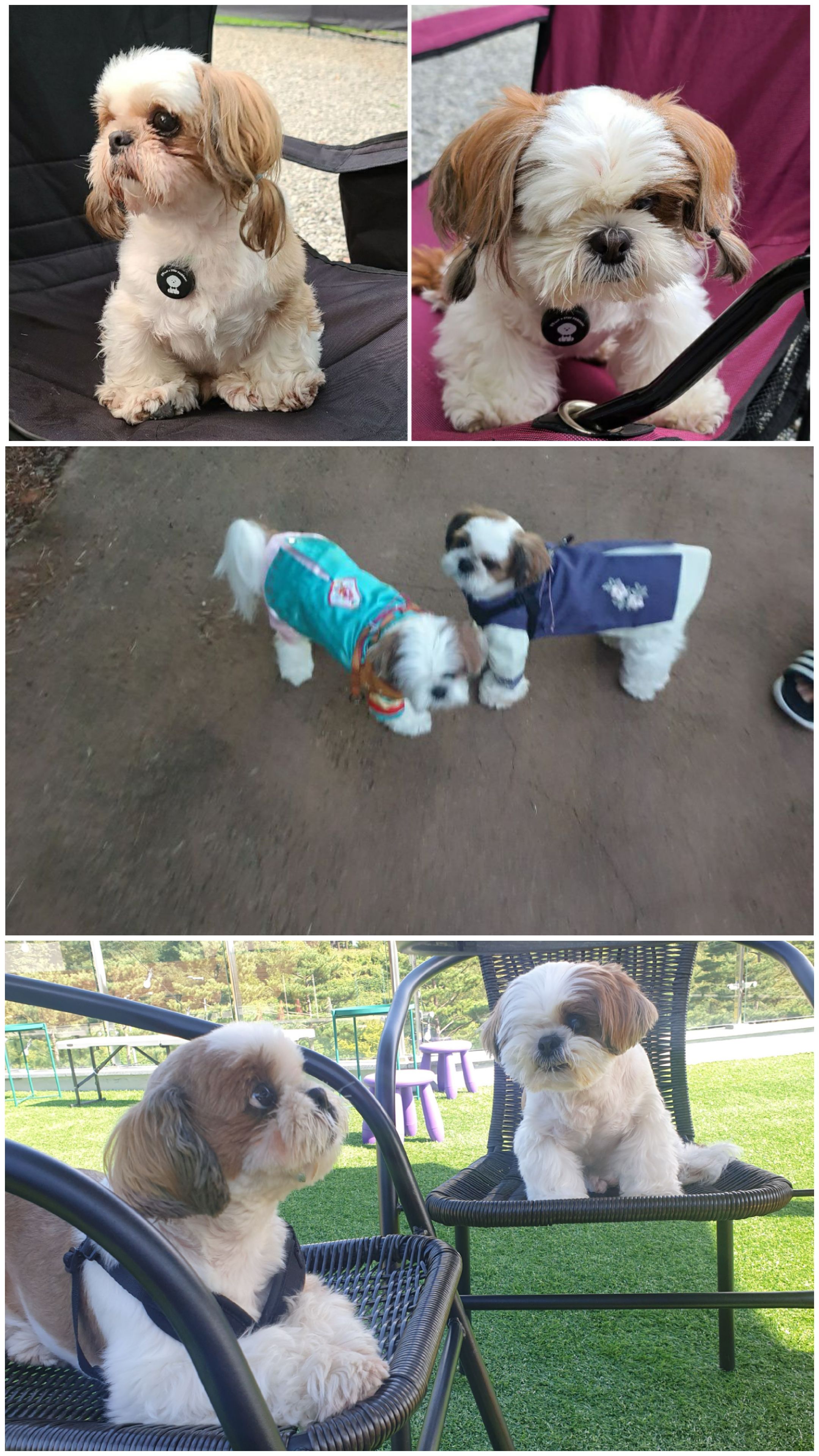 샘💗복민(찌개랑김치),오랜만에 찾아뵙네요.~♡