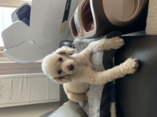 꽃돌이 오랜만에 왔어요~