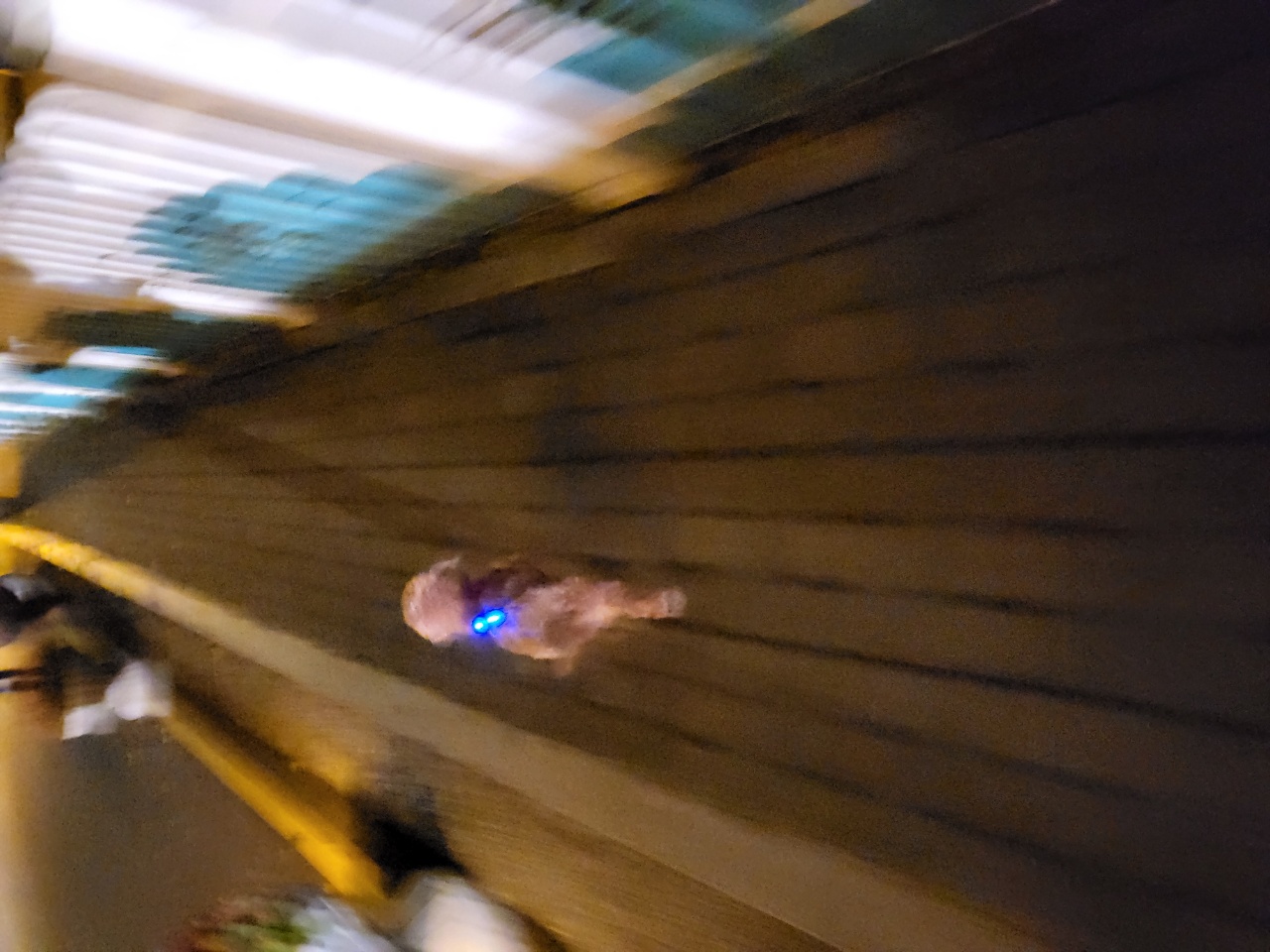 행복이(구 군밤이)에 대한 뒷담화