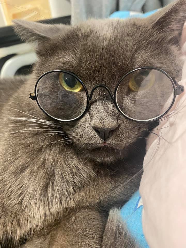 짱이 근황과 해외 이주 결정